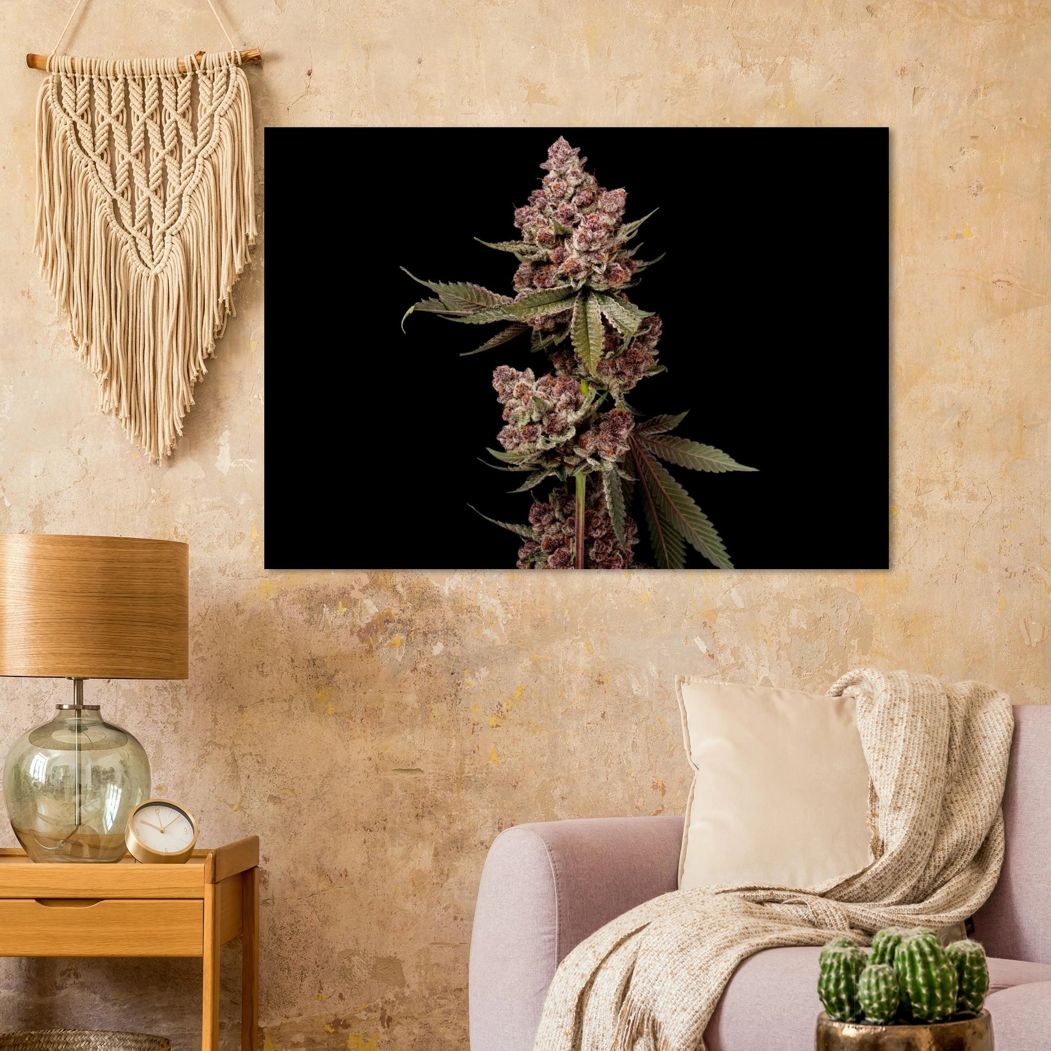 4c7107c4-71f3-4faf-bf3a-2a0d2d0efccd