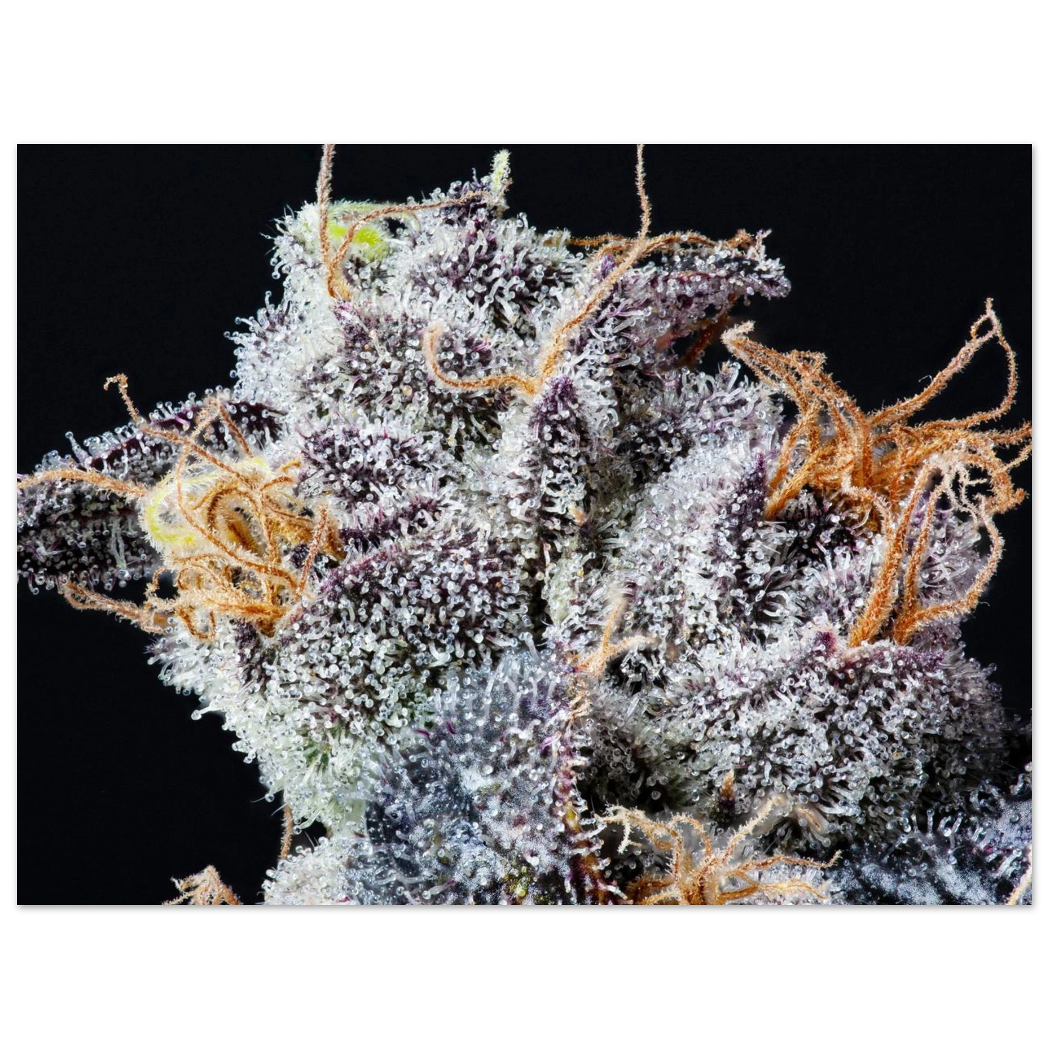 4da67c76-f06b-4600-b02a-179fa1826812