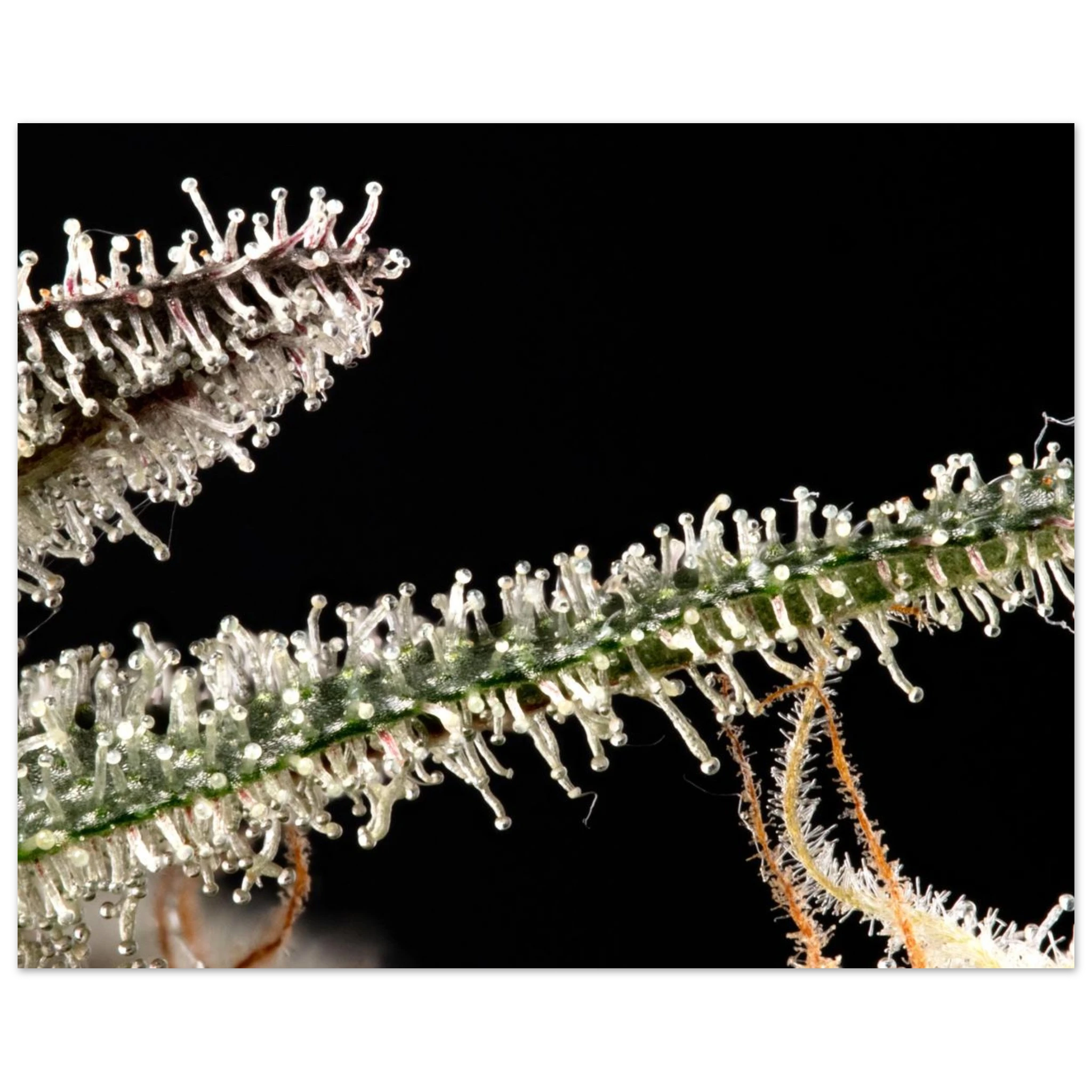 4f36e529-2335-4f85-b342-97126035b90c