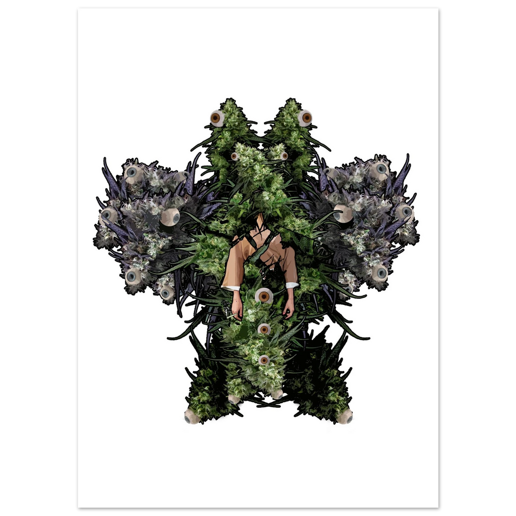 51d27c30-a9ae-49a0-811f-94fbda5afc50