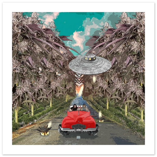 554d3307-40bd-415b-bed3-0b8eb30b248f