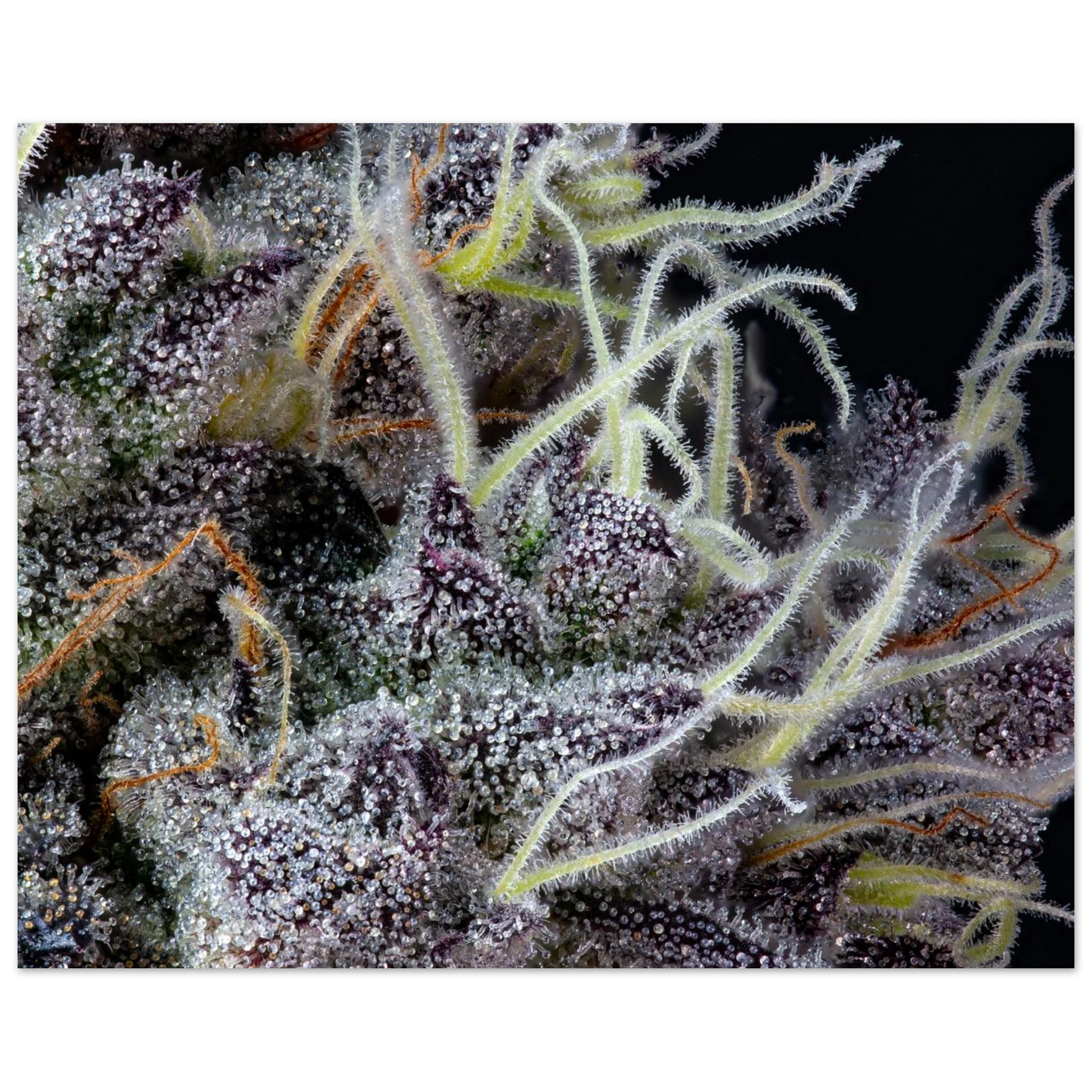 58158e32-9ee1-4532-af73-922e84d0046d