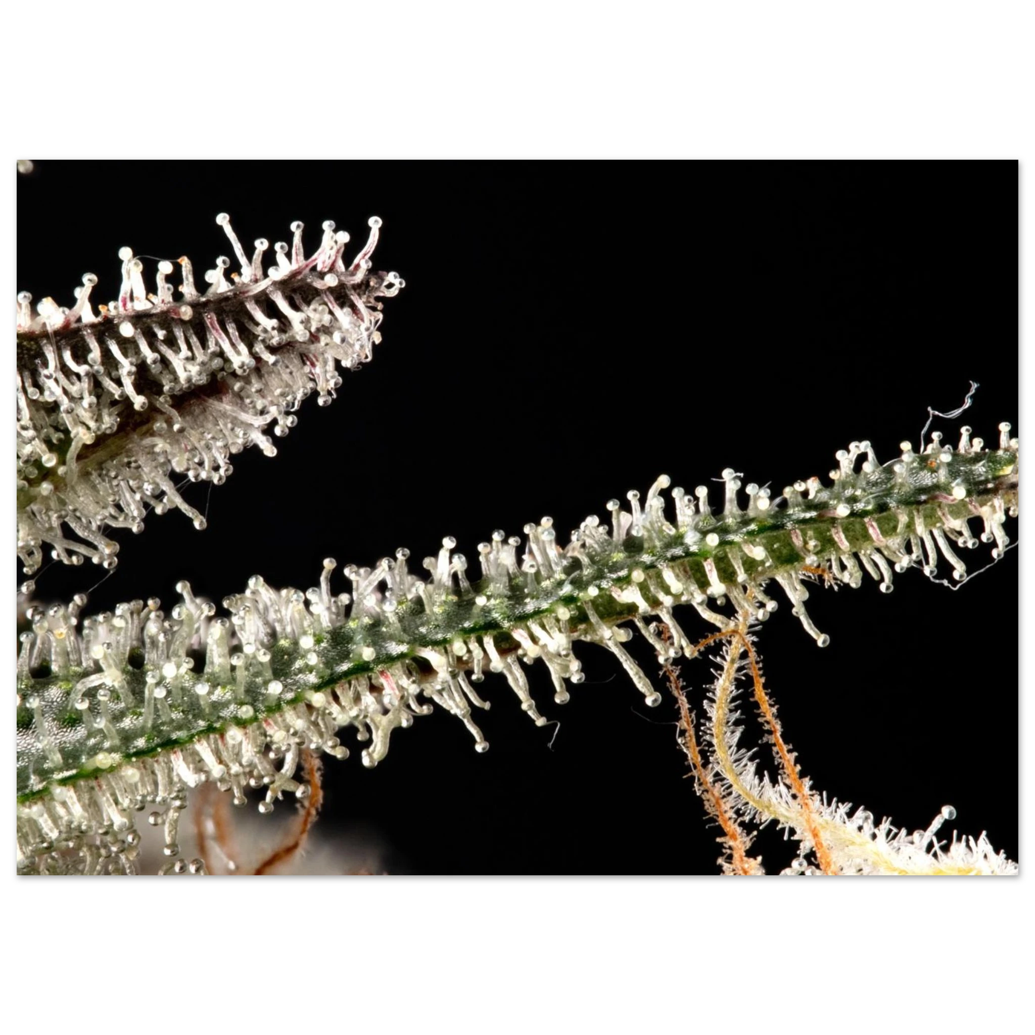 582036f7-67a7-4697-9202-bcd75db8be56