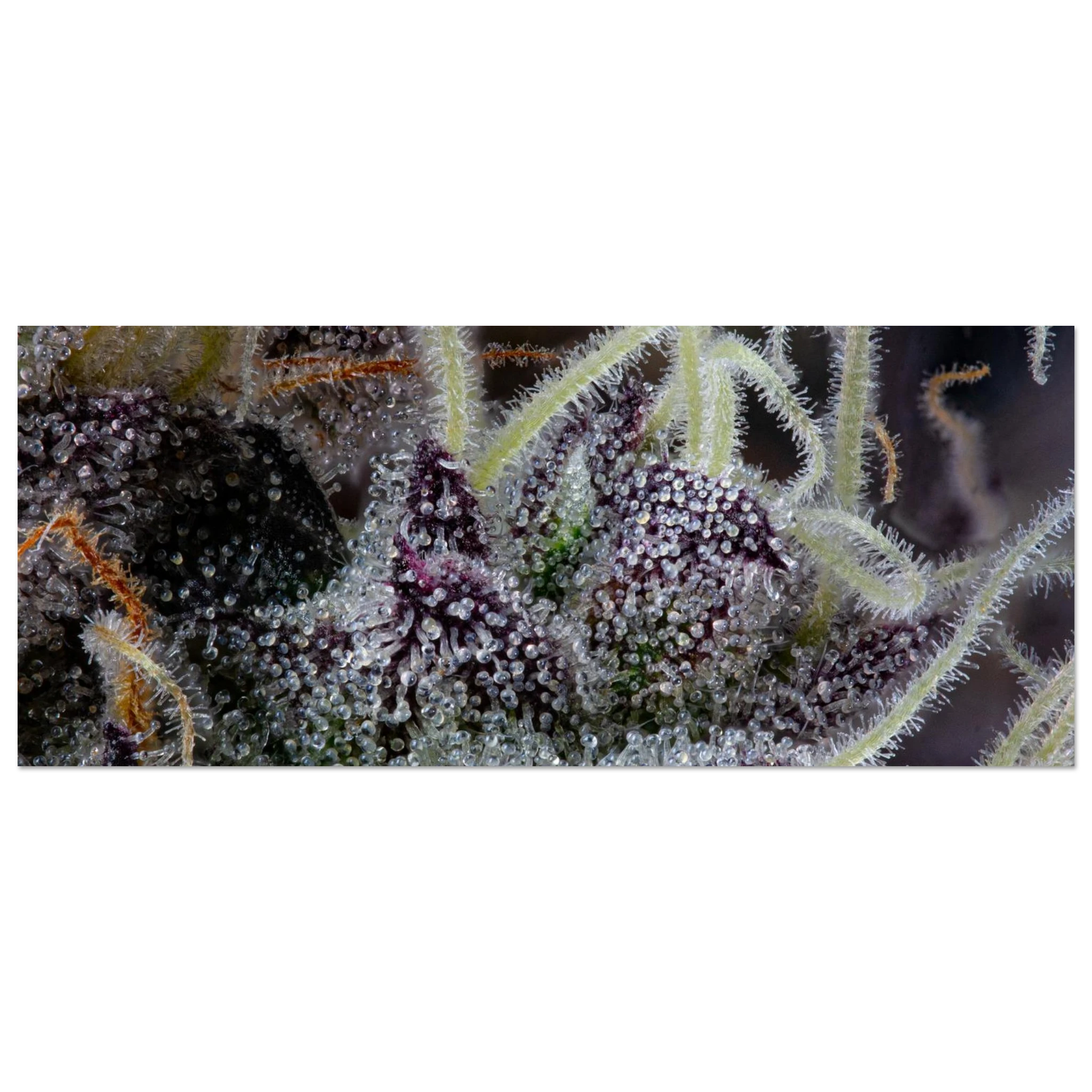 59d5bc96-009f-4b43-bd5d-d2e43bc9df9a