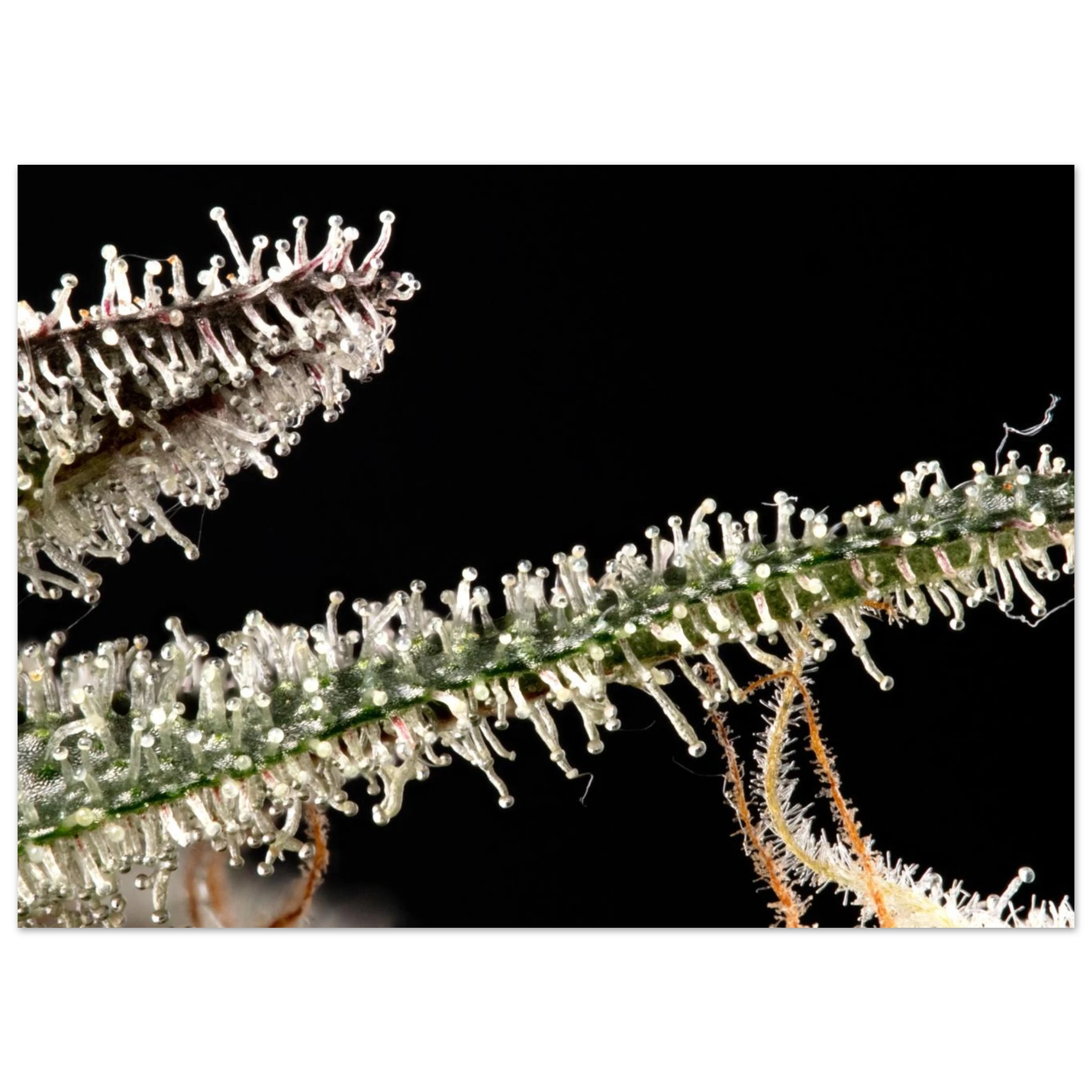 5aaeb536-e876-49cc-93a7-fc168dfc5155