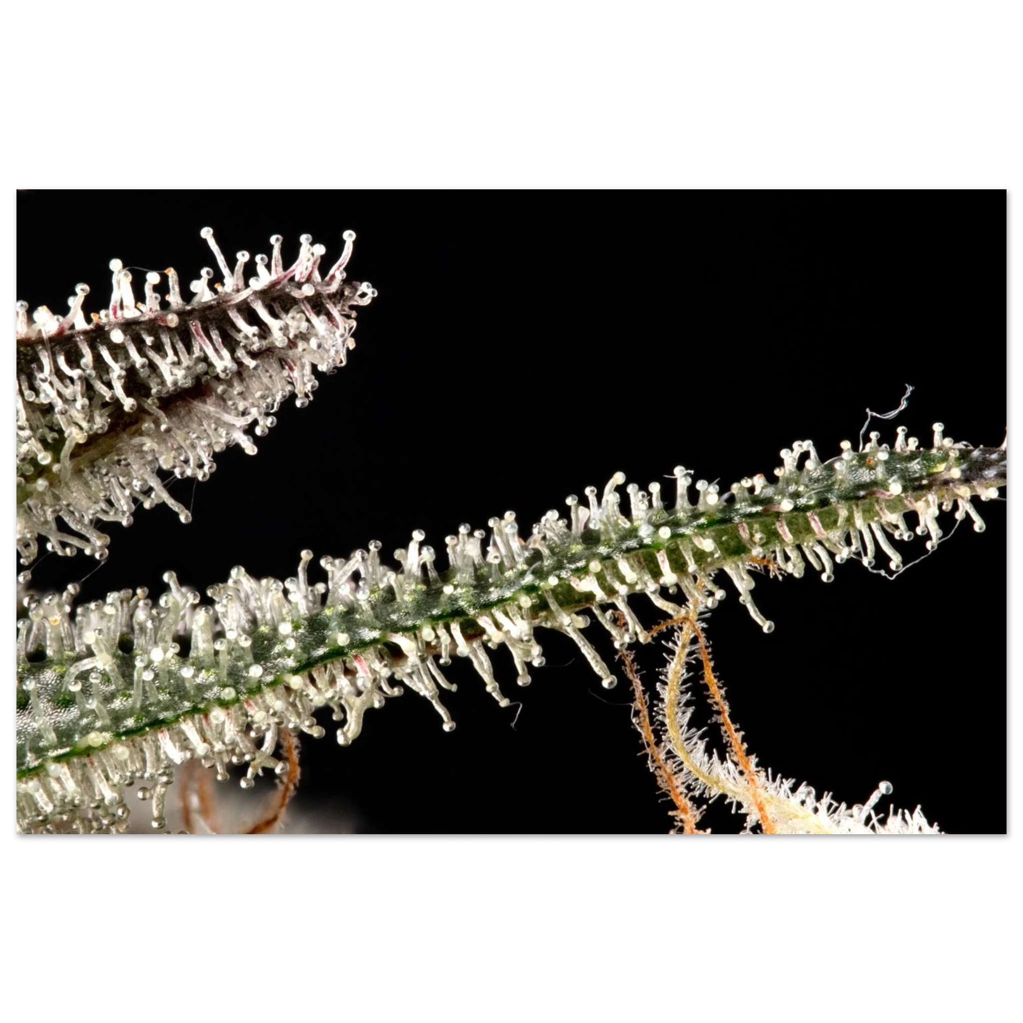 5b45e868-0a6c-46f2-b4c9-710e1a3e31c0