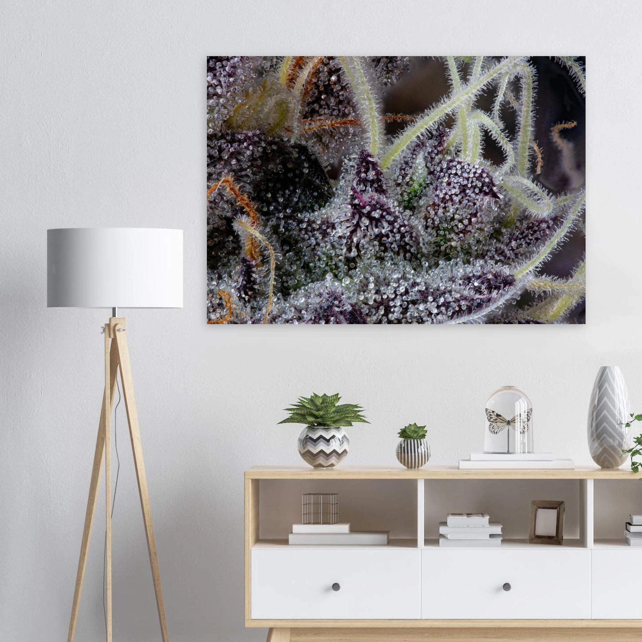 5e46d305-9ff6-42a5-a081-4c1081502cba