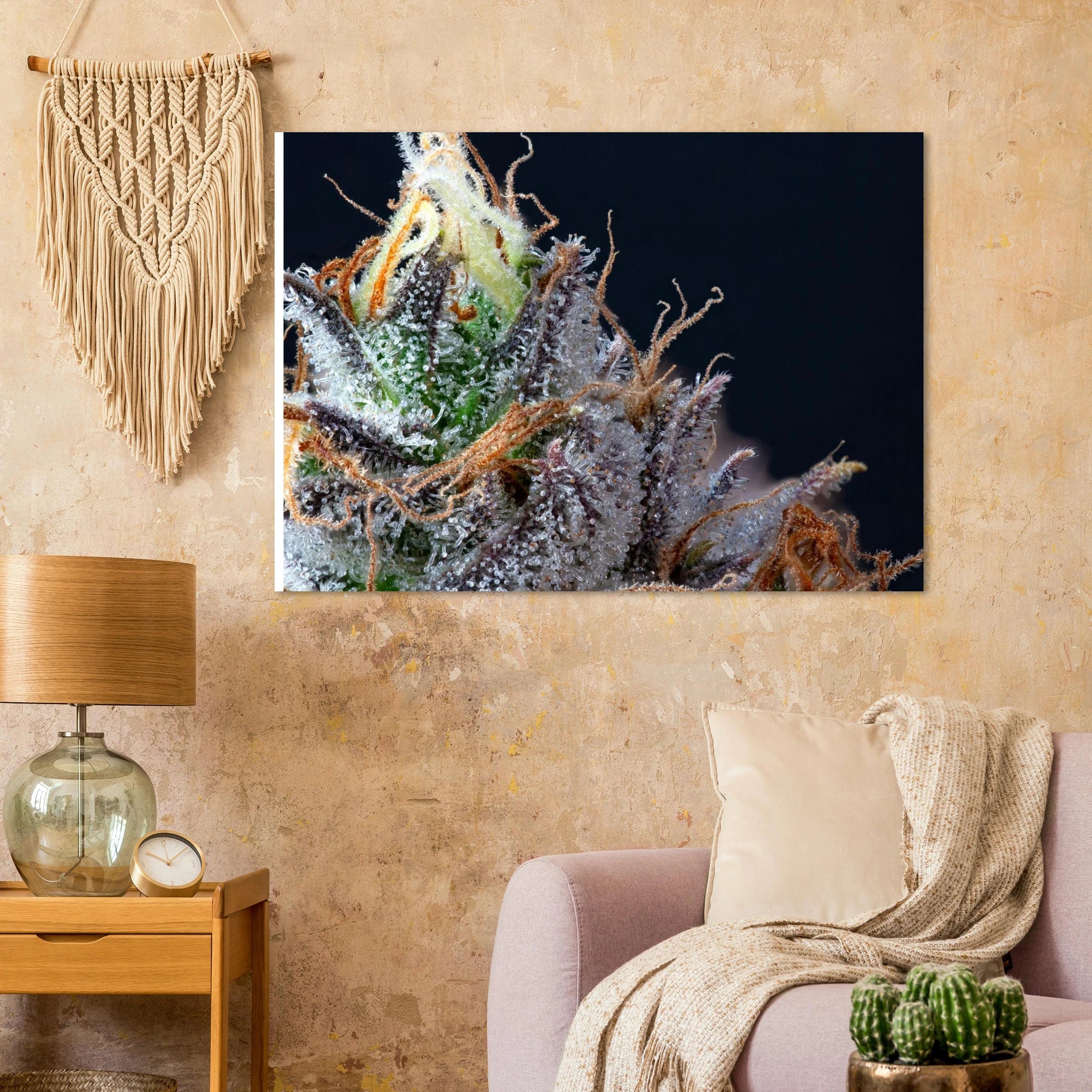 5ed81f40-60bb-4511-9dfc-0e469e8bb3be