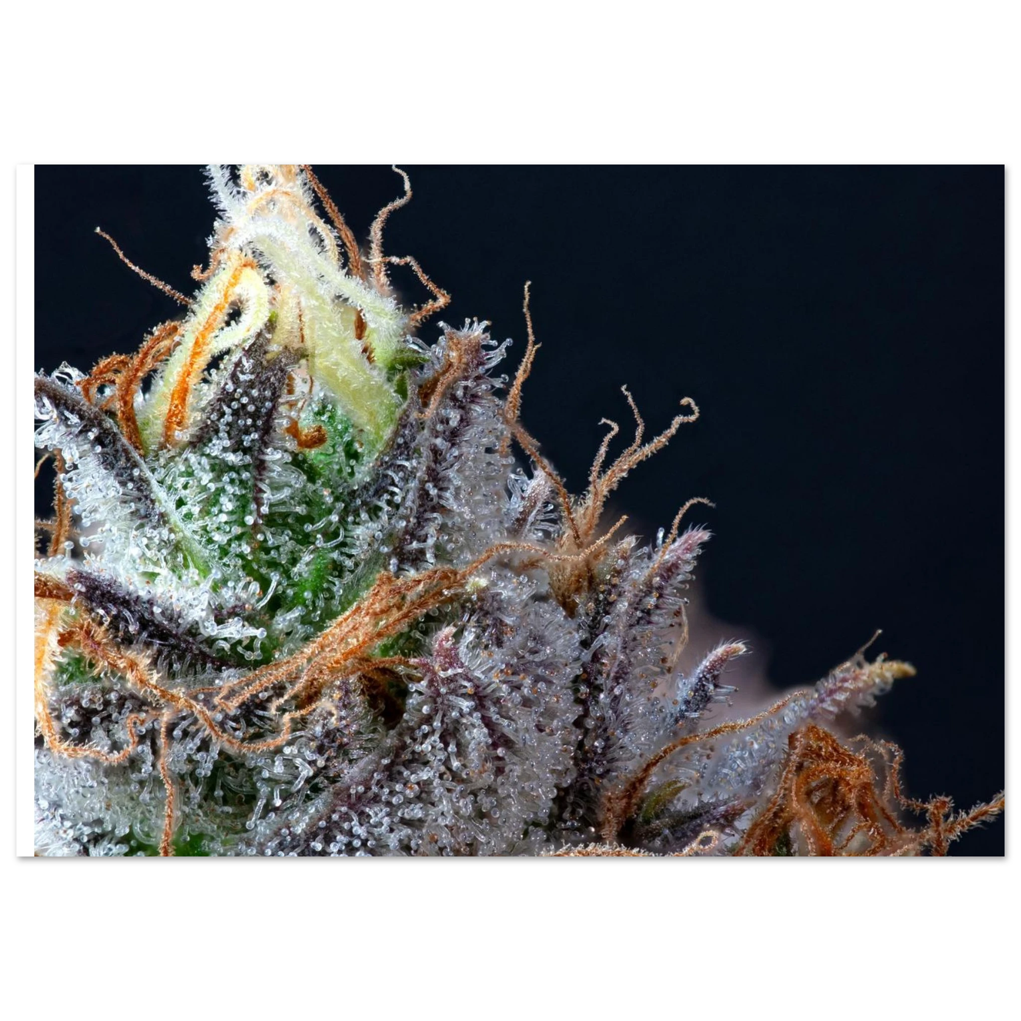 62f30908-1b26-4b57-8094-b610047f5f82