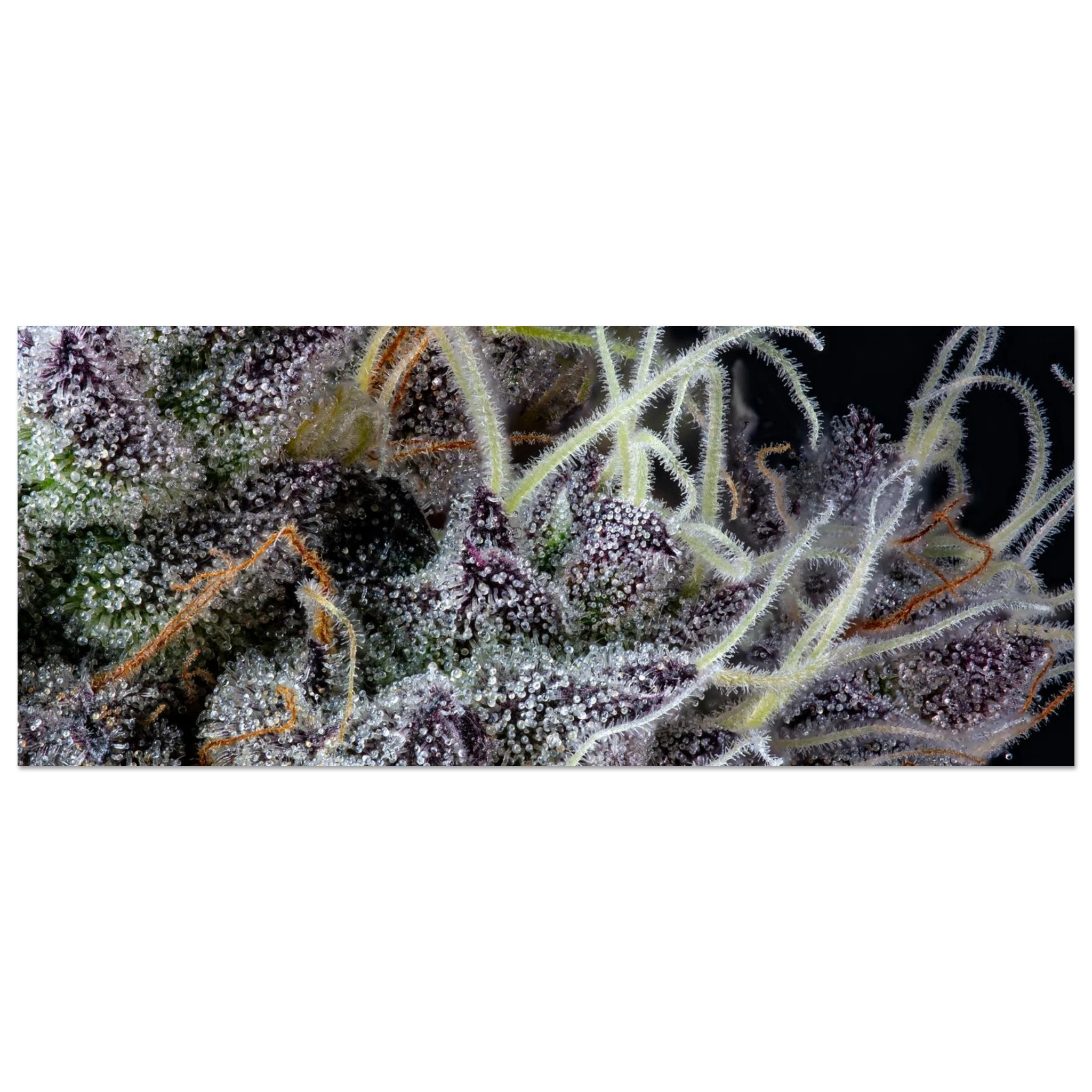 66782eff-c81b-416f-92dd-ae9a30be8414