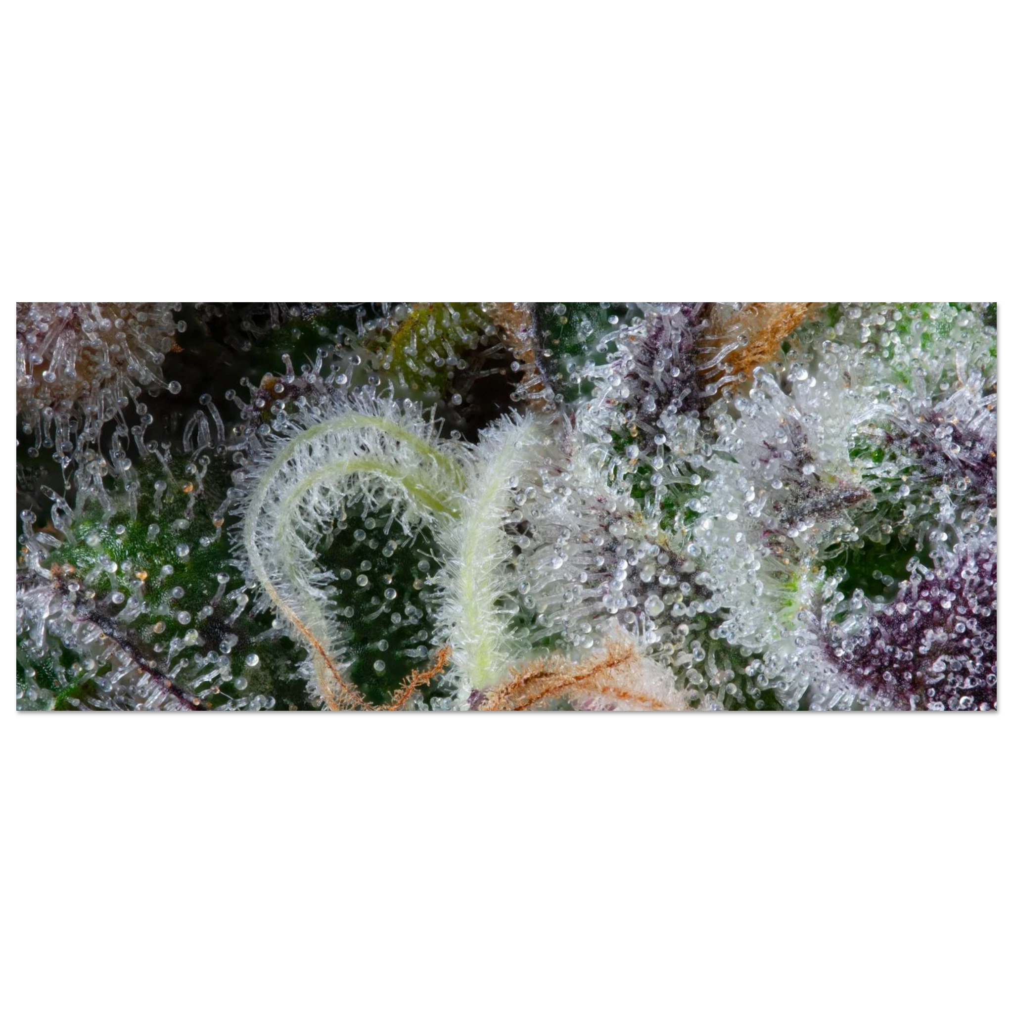 66d0f3b9-e30f-4fd6-ac30-fa062663b3c1