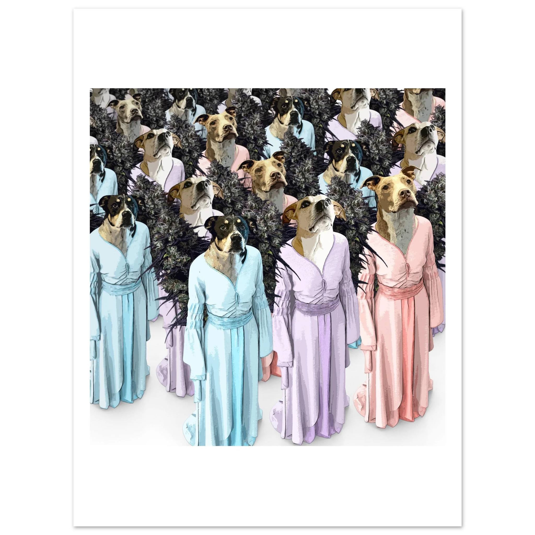 686c5412-b011-49bd-873a-8e1927985083