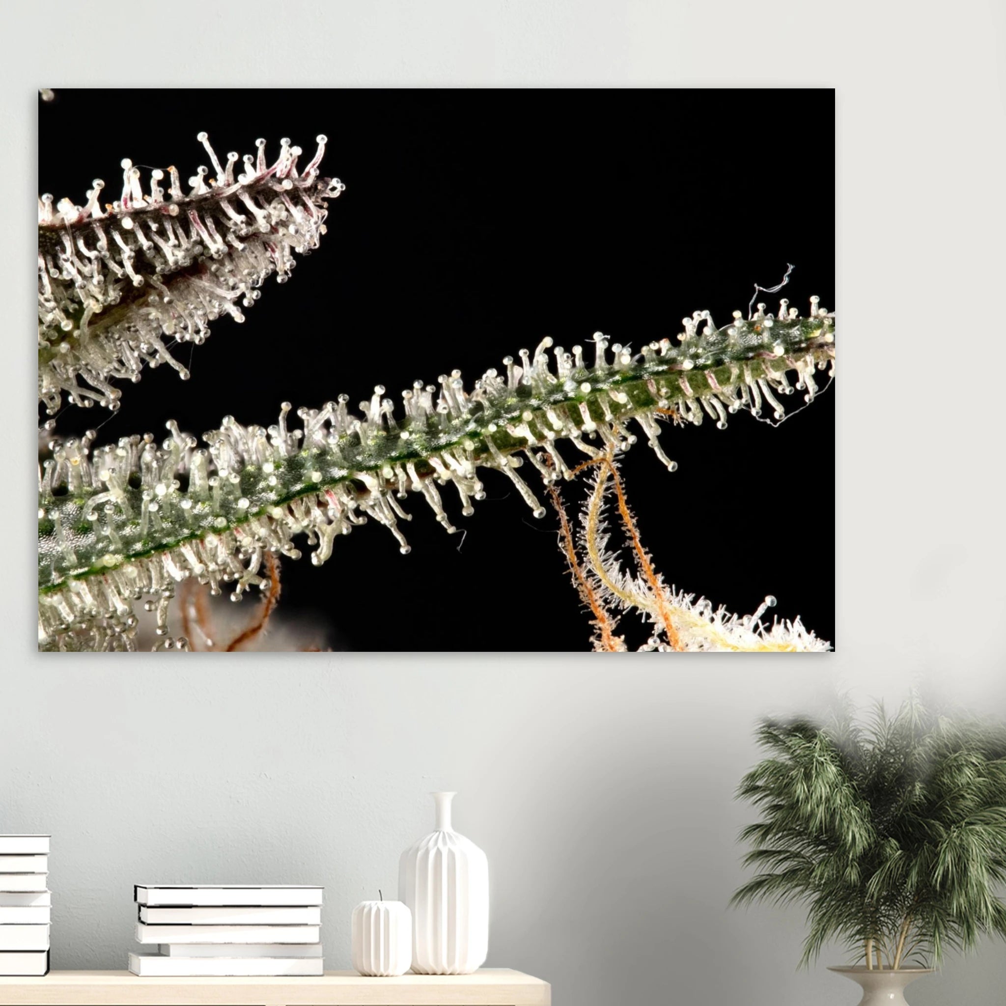 6a8e9f7c-5f08-4a82-921a-58ebfb725d98