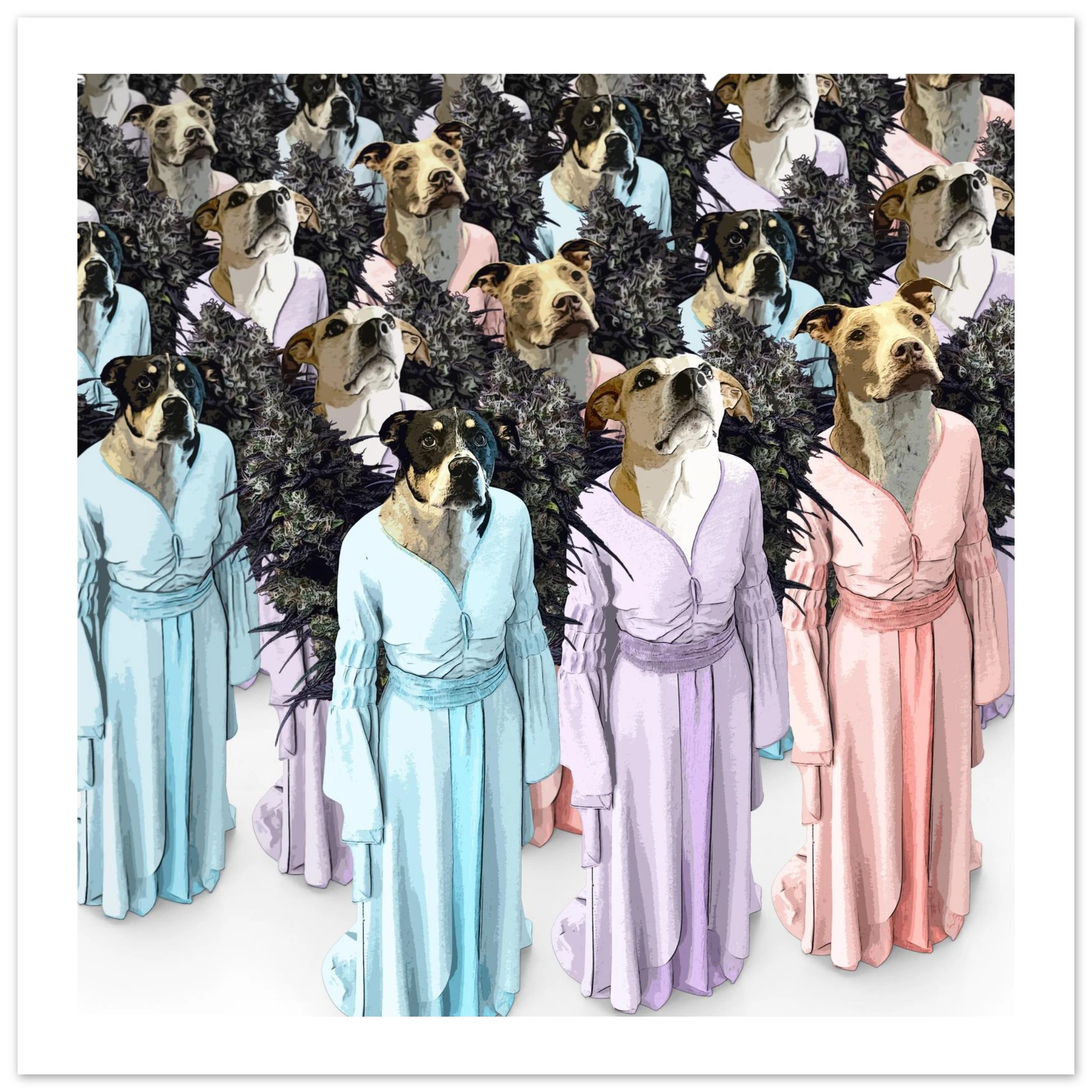 6b0b925c-47a9-4a80-bc99-567b7e5c3b45