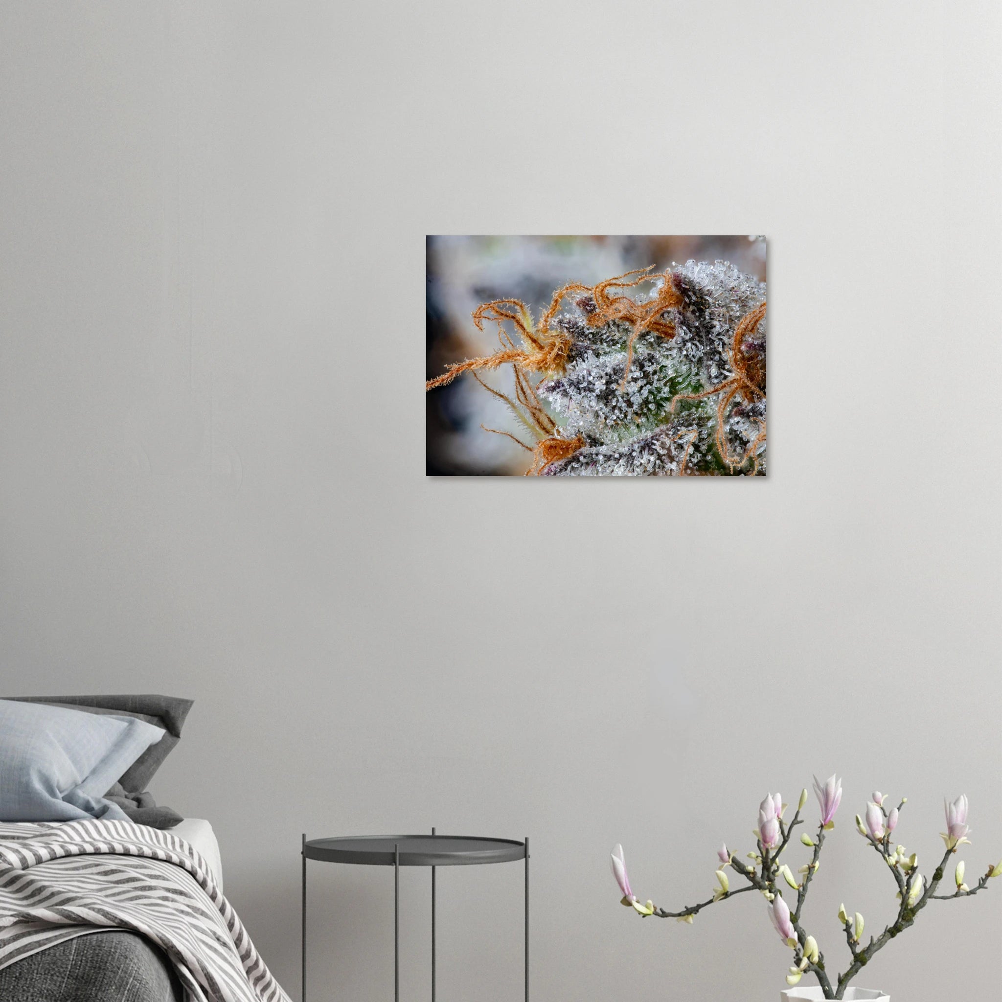 6c5f56ce-b92a-4389-a8be-680667cf3d14