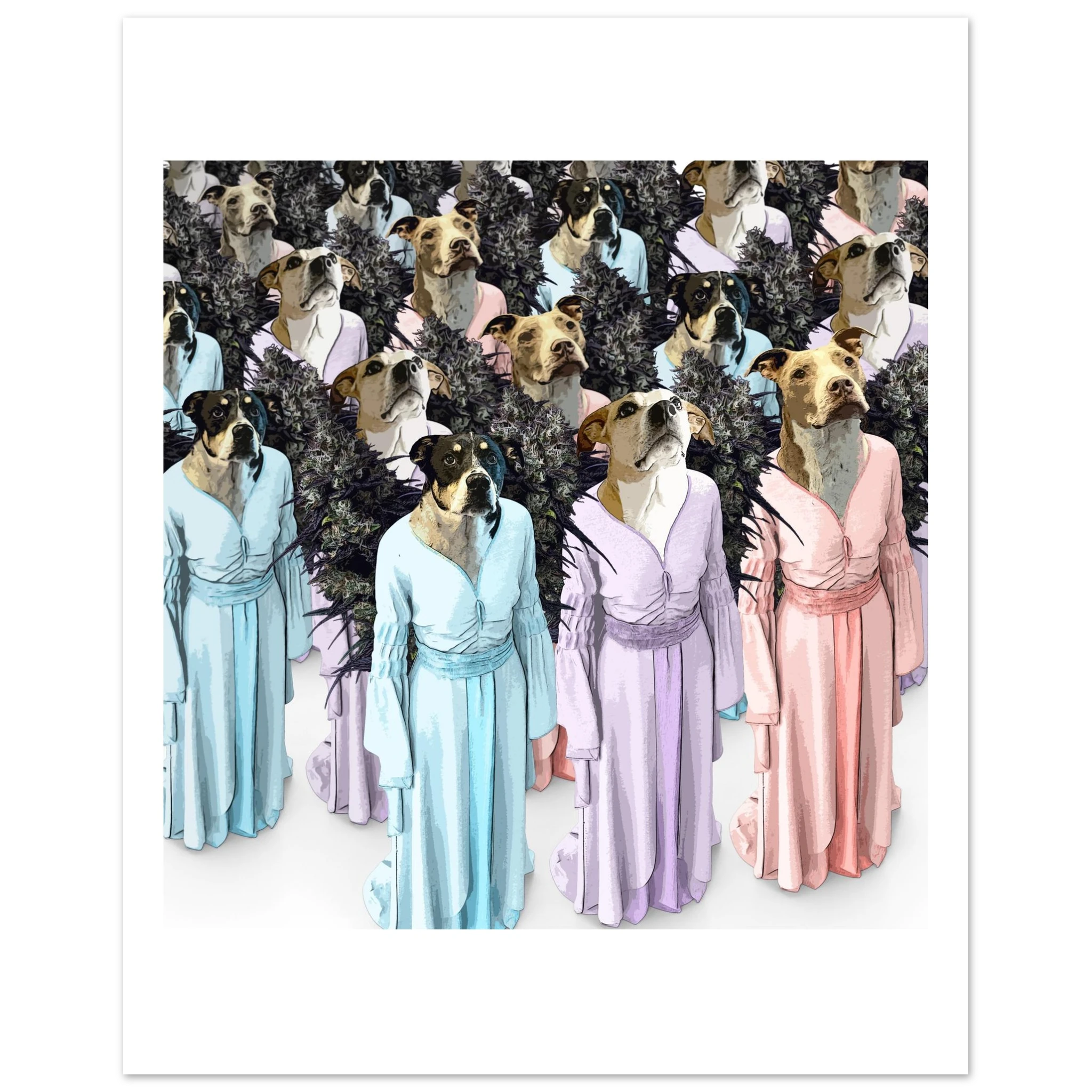 6eca7f25-2382-4fe9-8e8a-5a5f1ed2b311