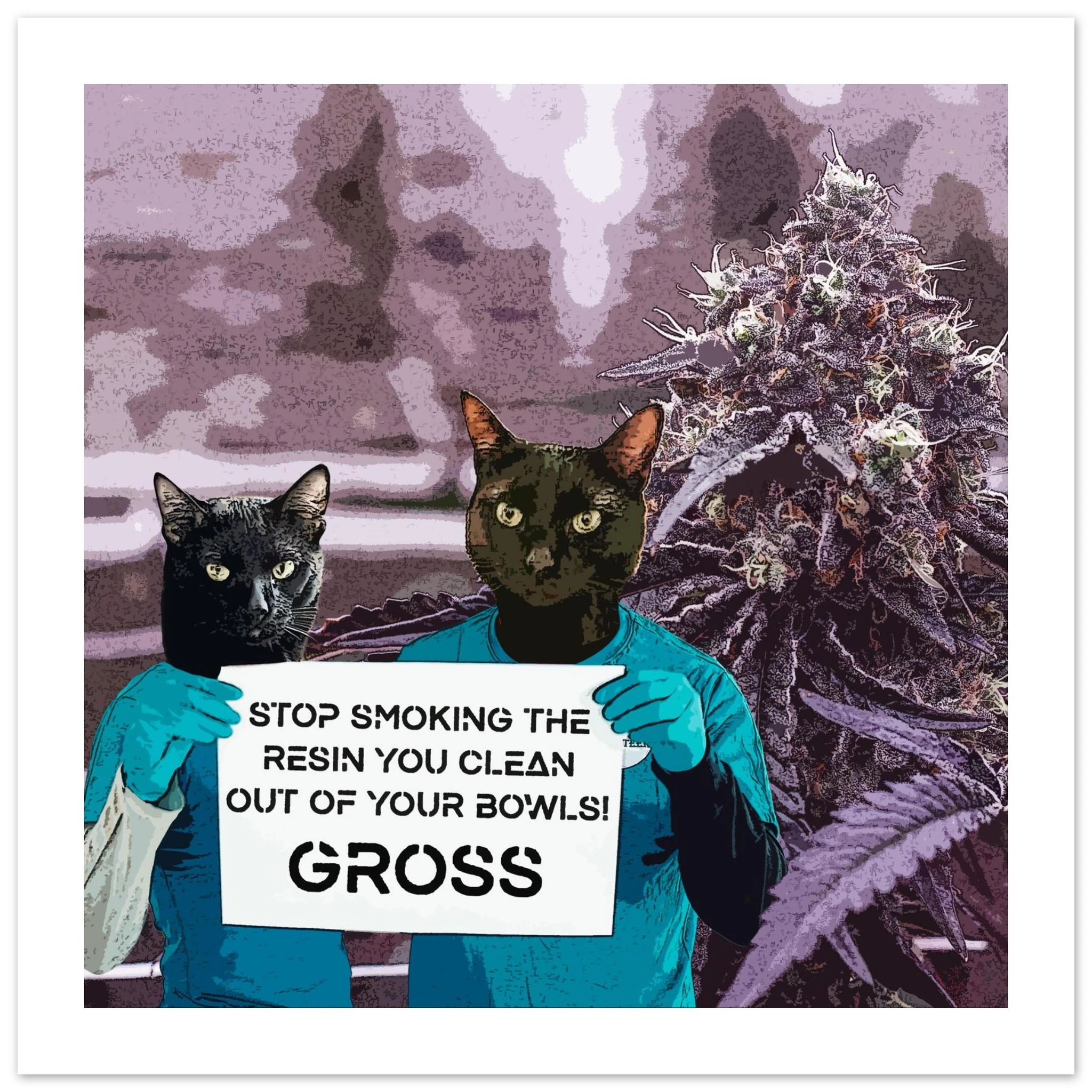 73e2ff09-4ad0-4466-ad41-dd924ca5371e