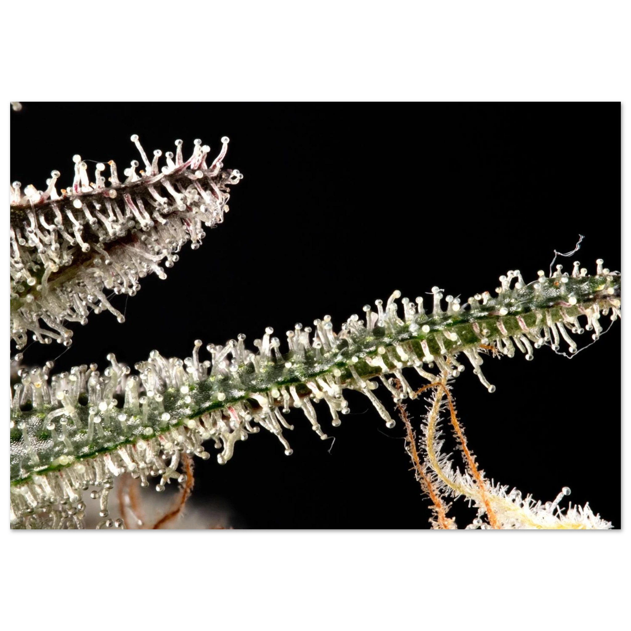 7637cd37-bed7-4317-b24d-e049da232ac4