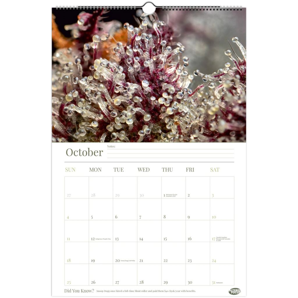 79fd298d-e21c-4f91-af25-cbbbb1dd5662