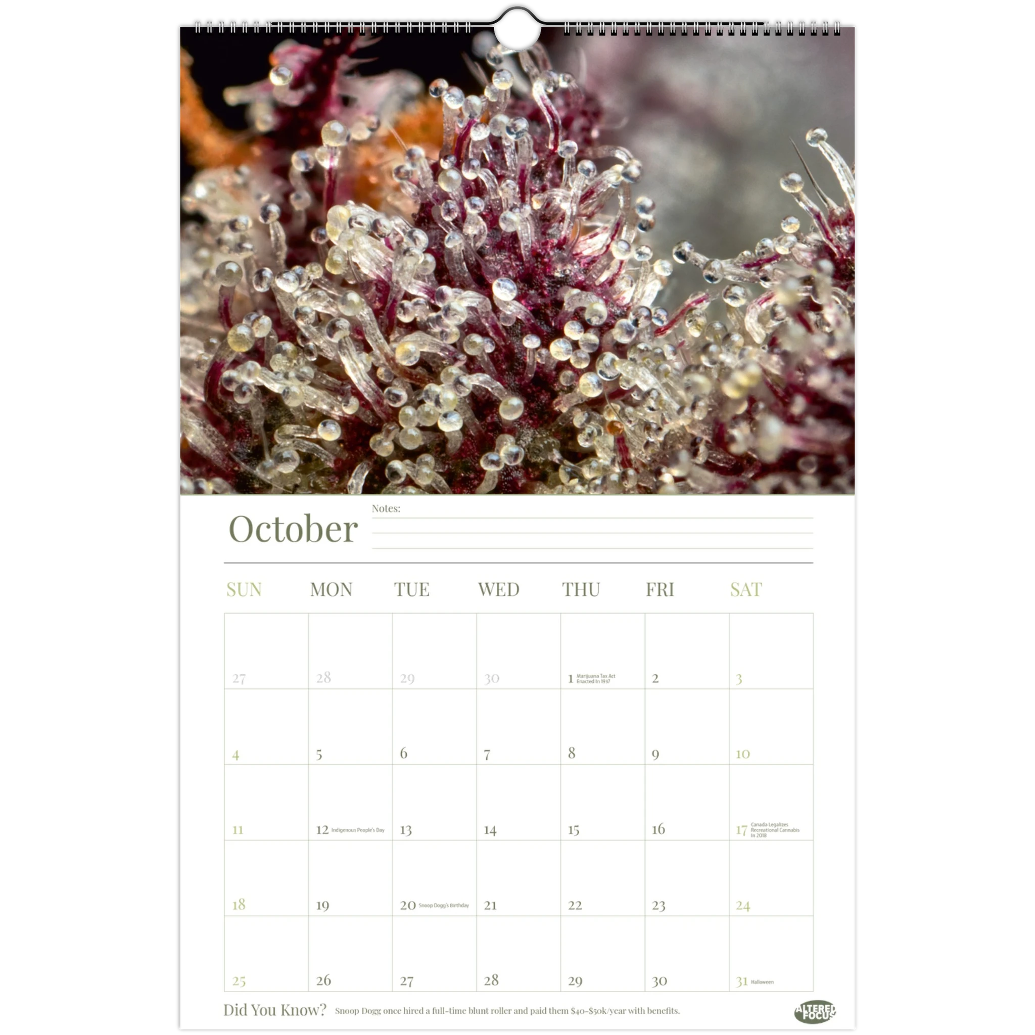 79fd298d-e21c-4f91-af25-cbbbb1dd5662