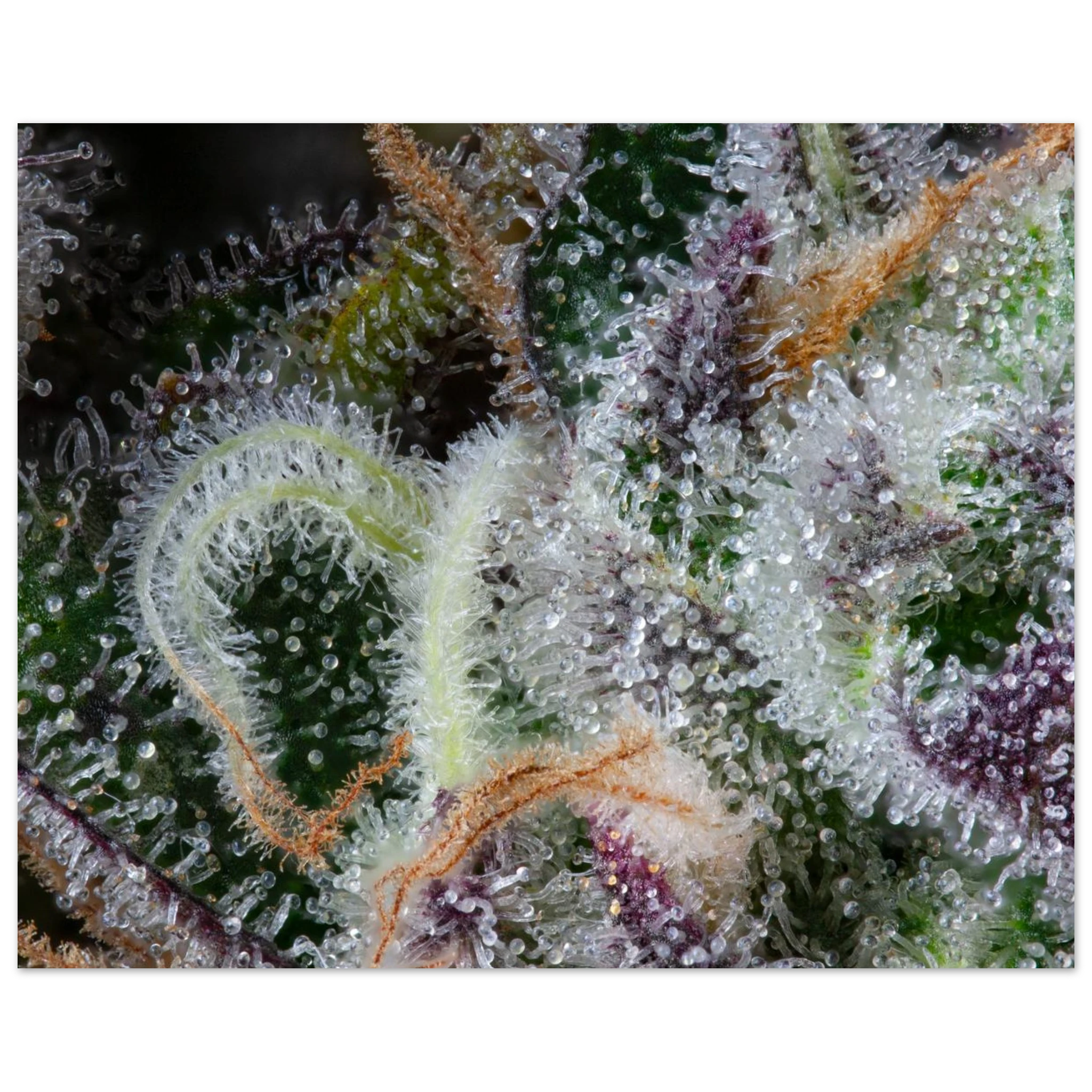 7cdf3df4-474a-439d-9076-e33d325d9b79