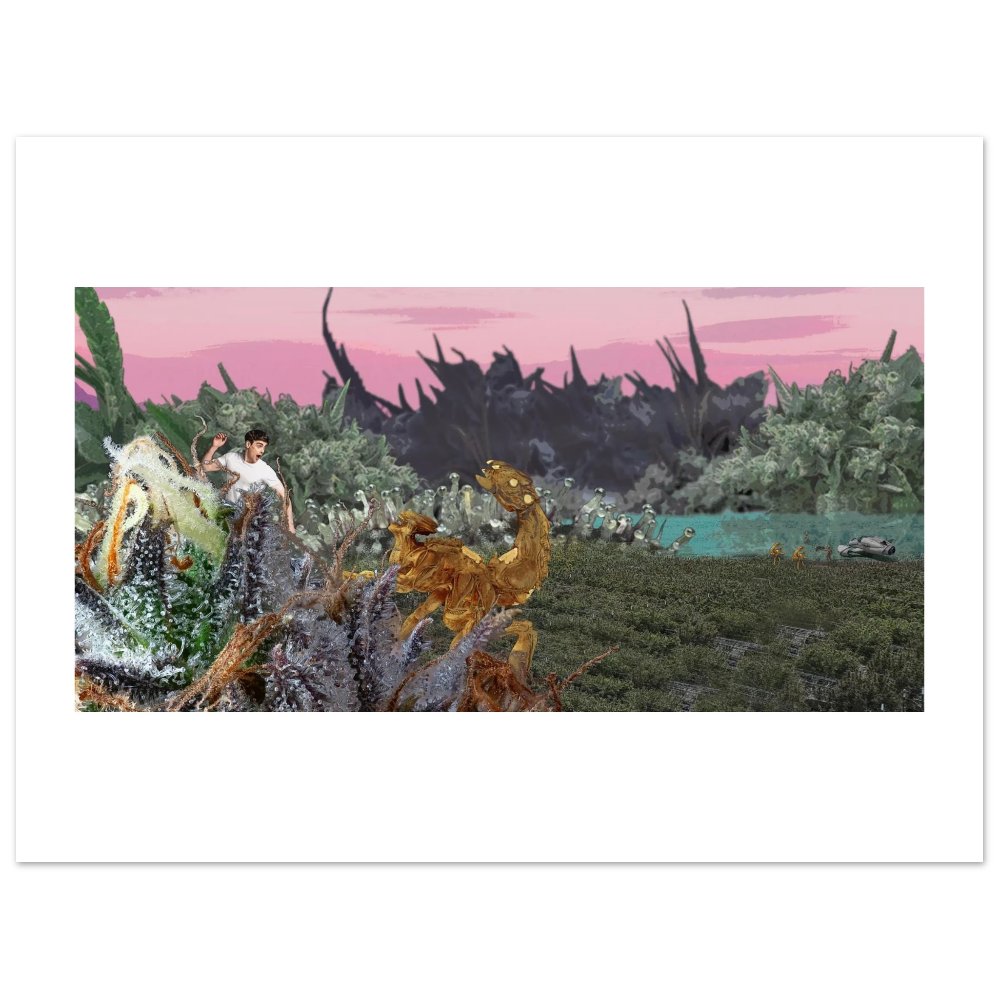 7d710d6a-9c85-49b2-ba42-4159fa069390