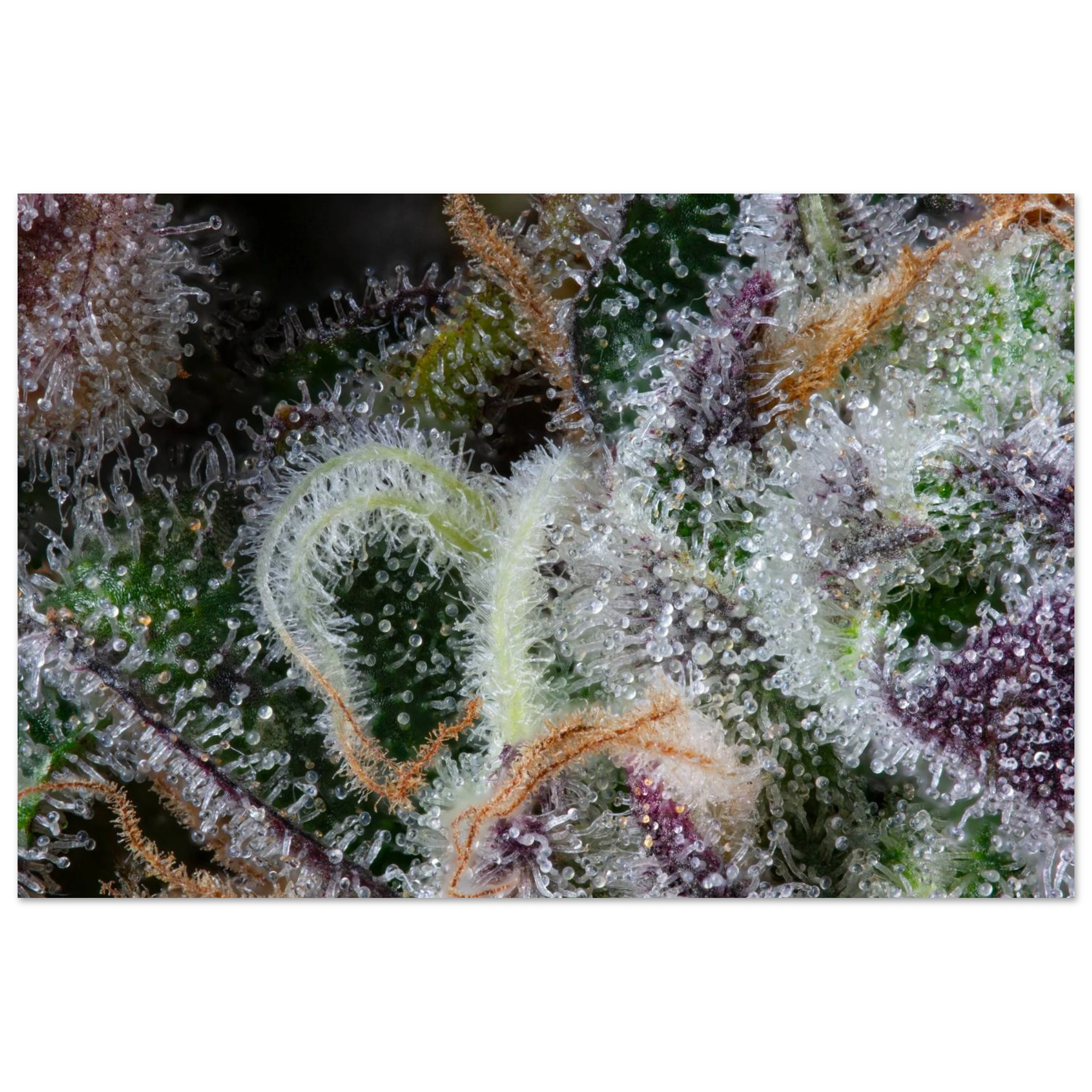 7dae0c27-31fe-48ee-8027-16412a6dd1bb