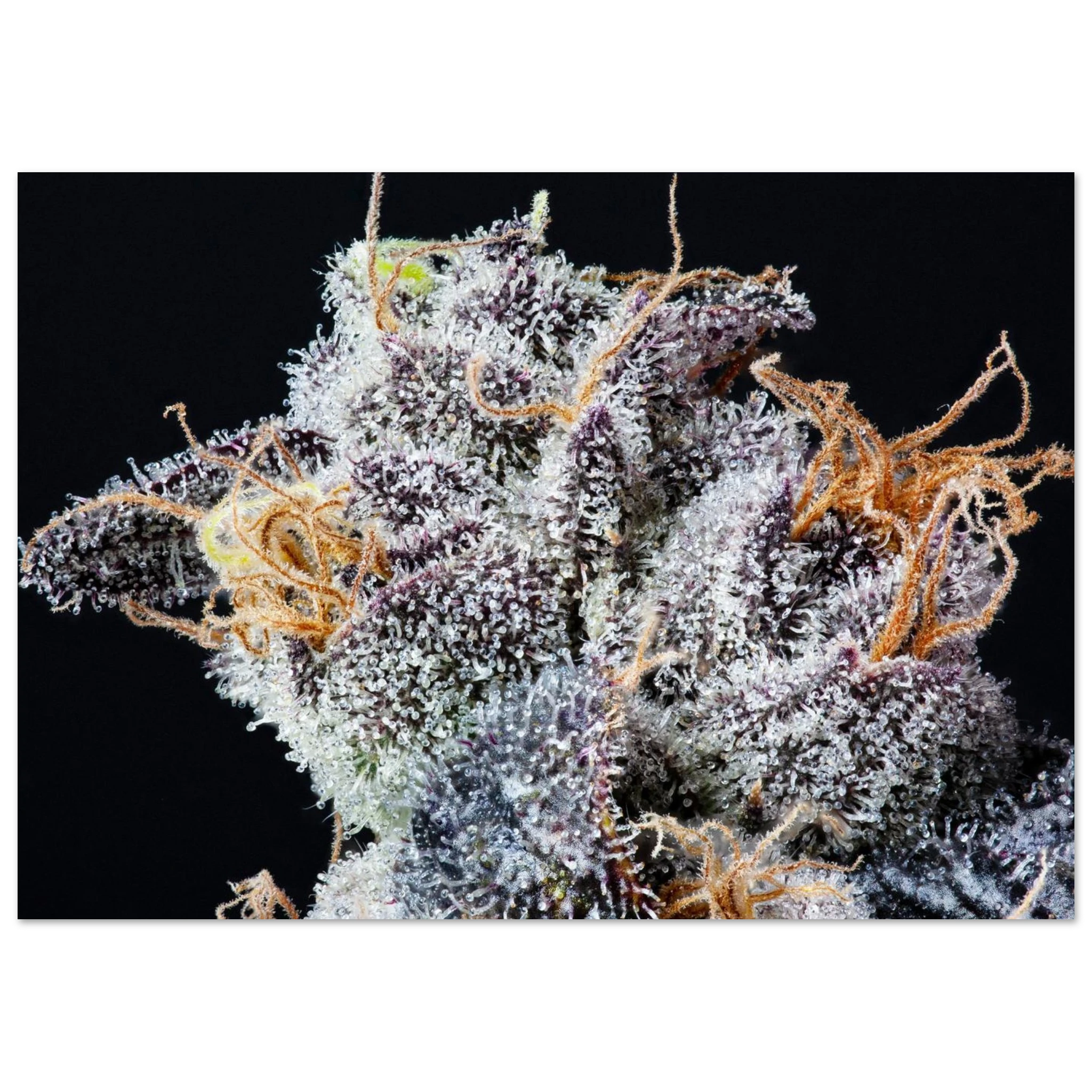 802526a3-a6bf-490b-b724-5bd352d7065f