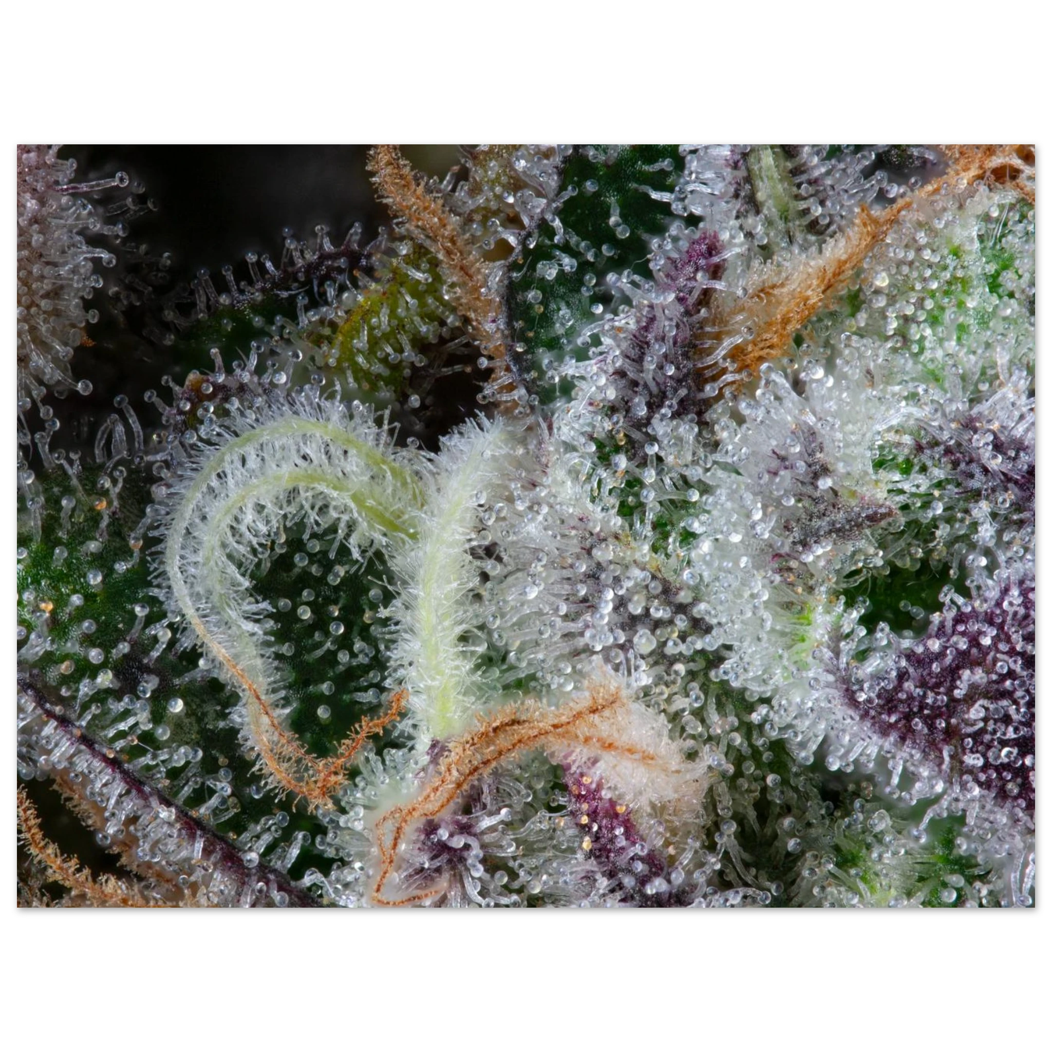 80961cd5-d8ea-4749-aa1c-743c6c6eb2a1