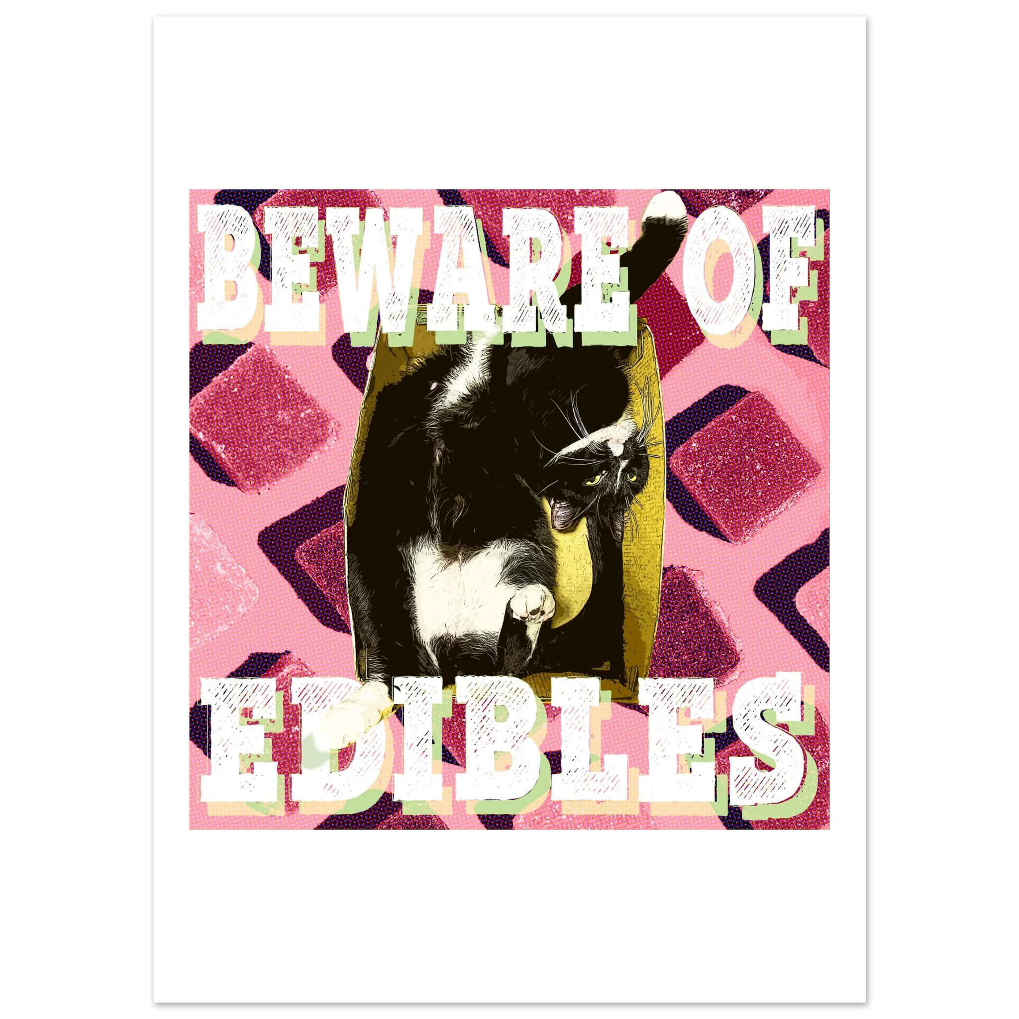 81844880-896c-4ebc-8c1d-51db3327fff2