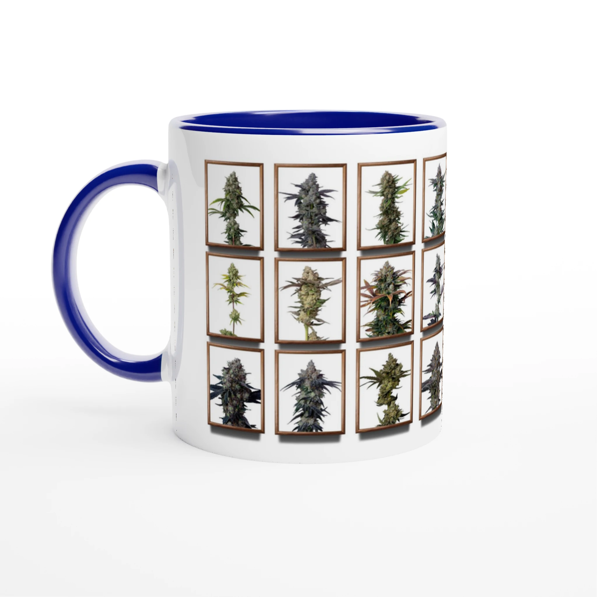 82d7c4d1-7fee-4048-a9af-c35a4f9bbfa0