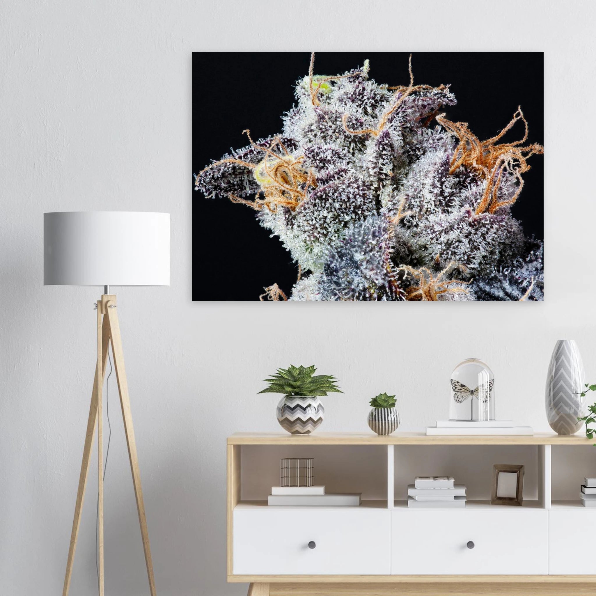 85689546-821a-4686-bc16-20db1a83694f