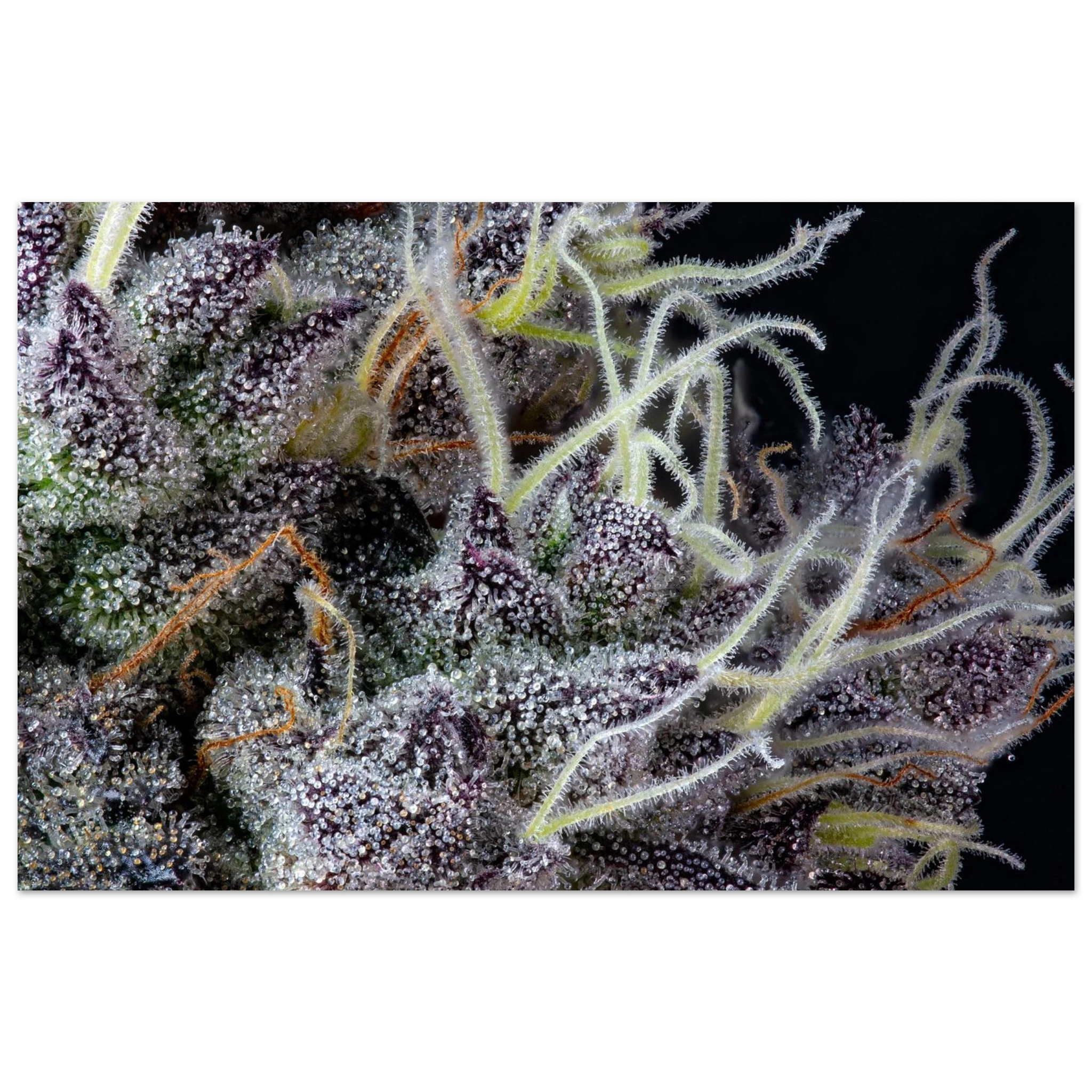 8e00524f-51e9-4727-b7a7-3a8698618ef7