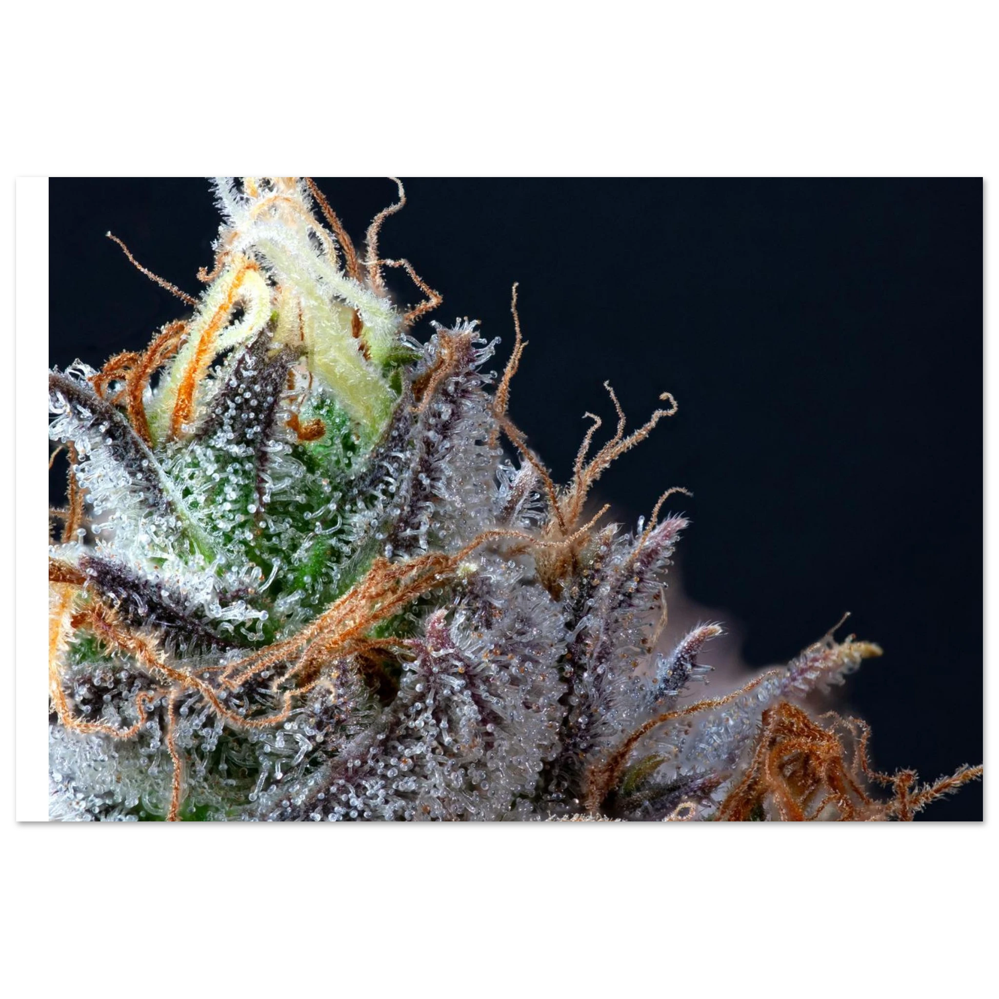 927697cd-13fc-48bc-8afb-433e6df32356