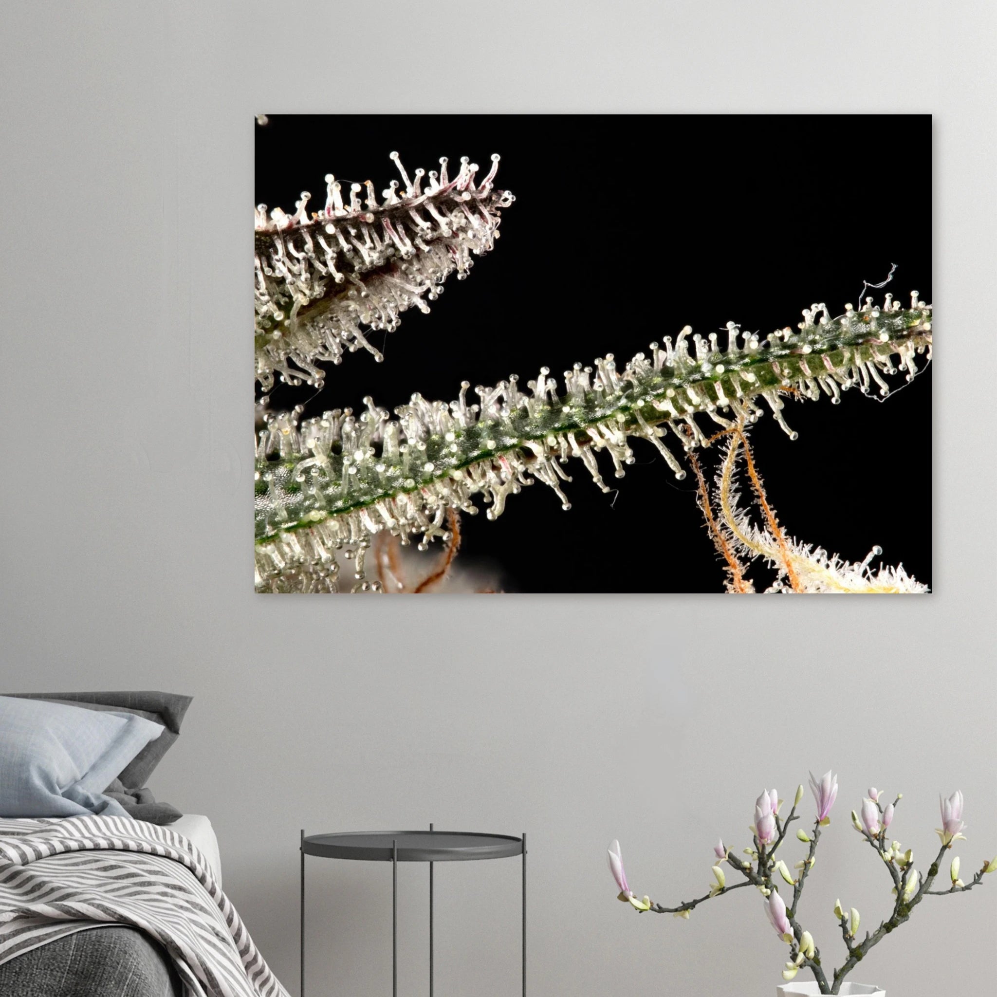 988a9c2c-ecfe-4e32-ba45-71366f2777cb