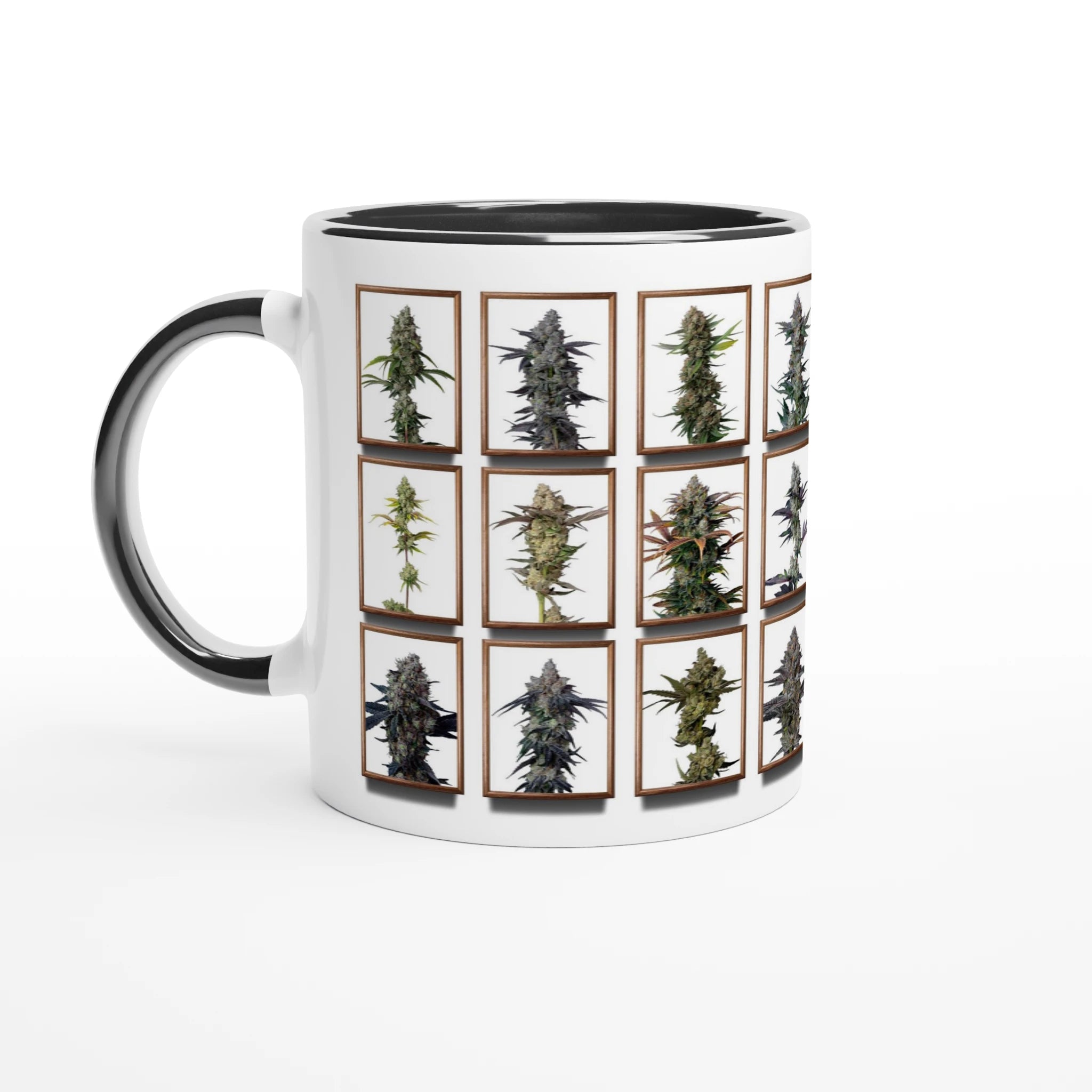 a167491b-e674-4819-8e44-9b1d785fe3de