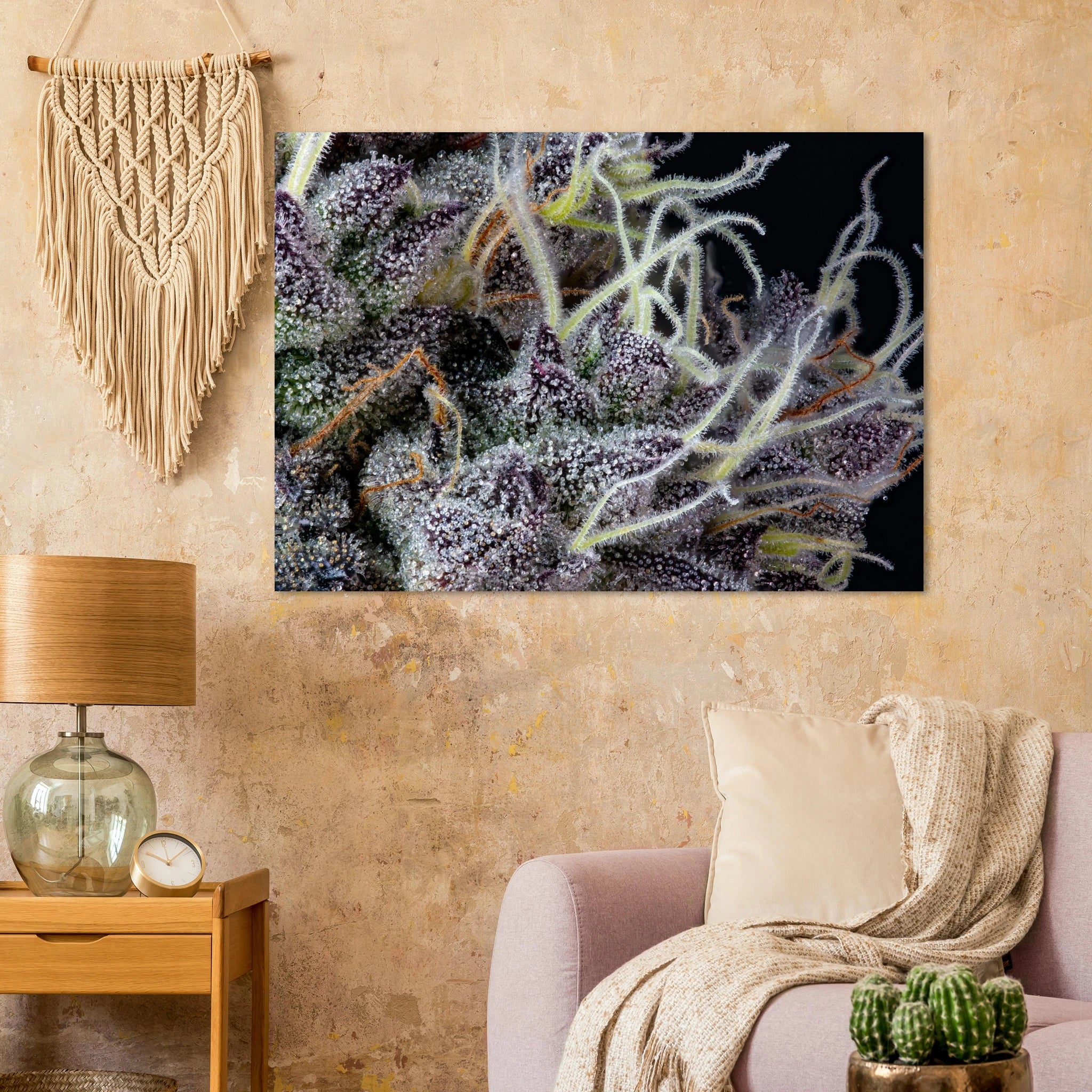 a2b17034-9de2-40e4-b965-bb790e0d8822