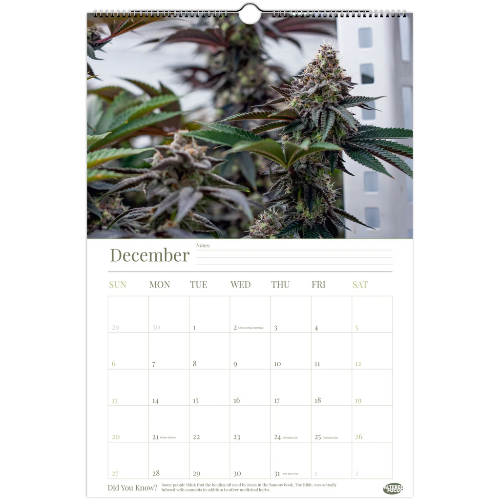 a5ee9b82-d557-4d93-b99b-ed3817db022b