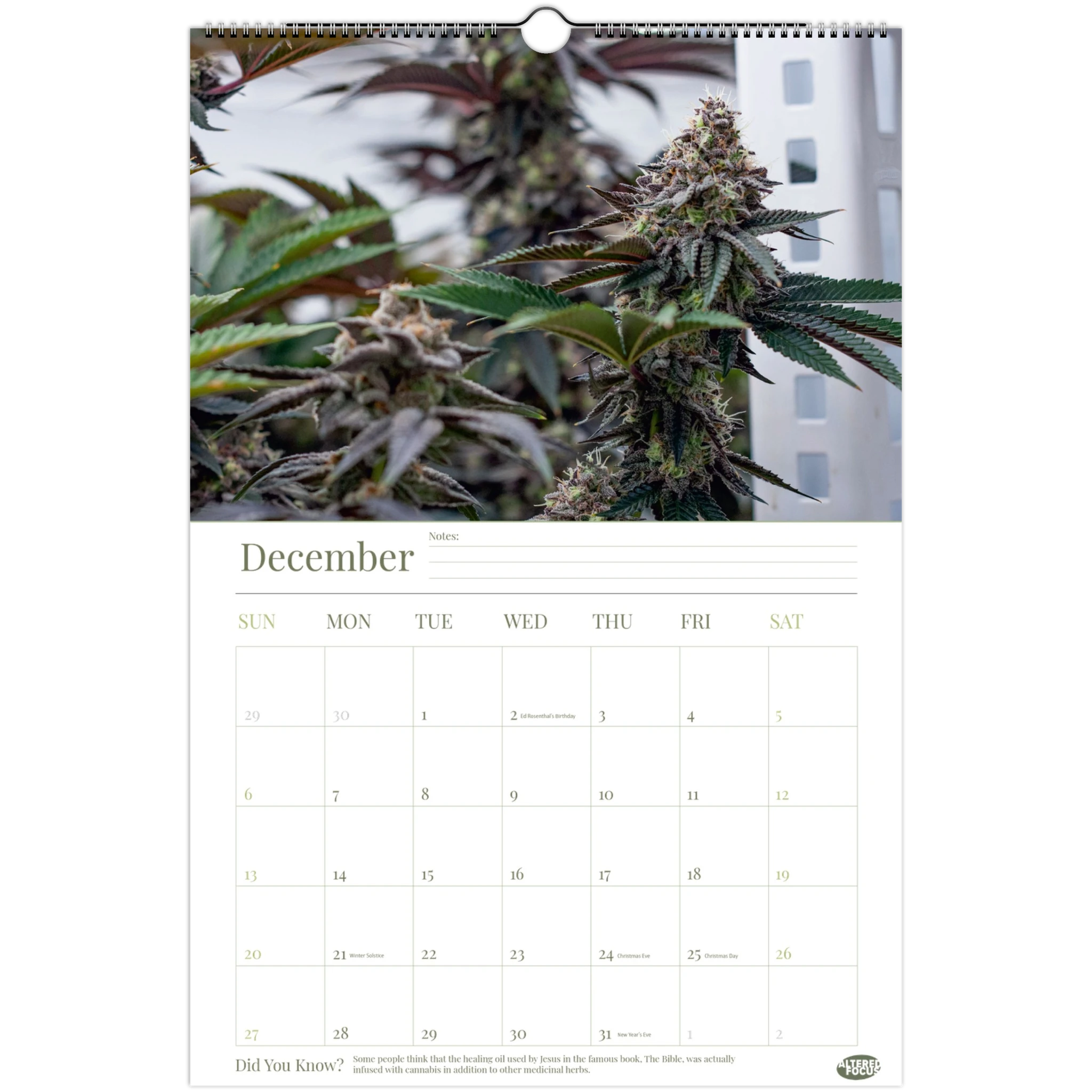 a5ee9b82-d557-4d93-b99b-ed3817db022b