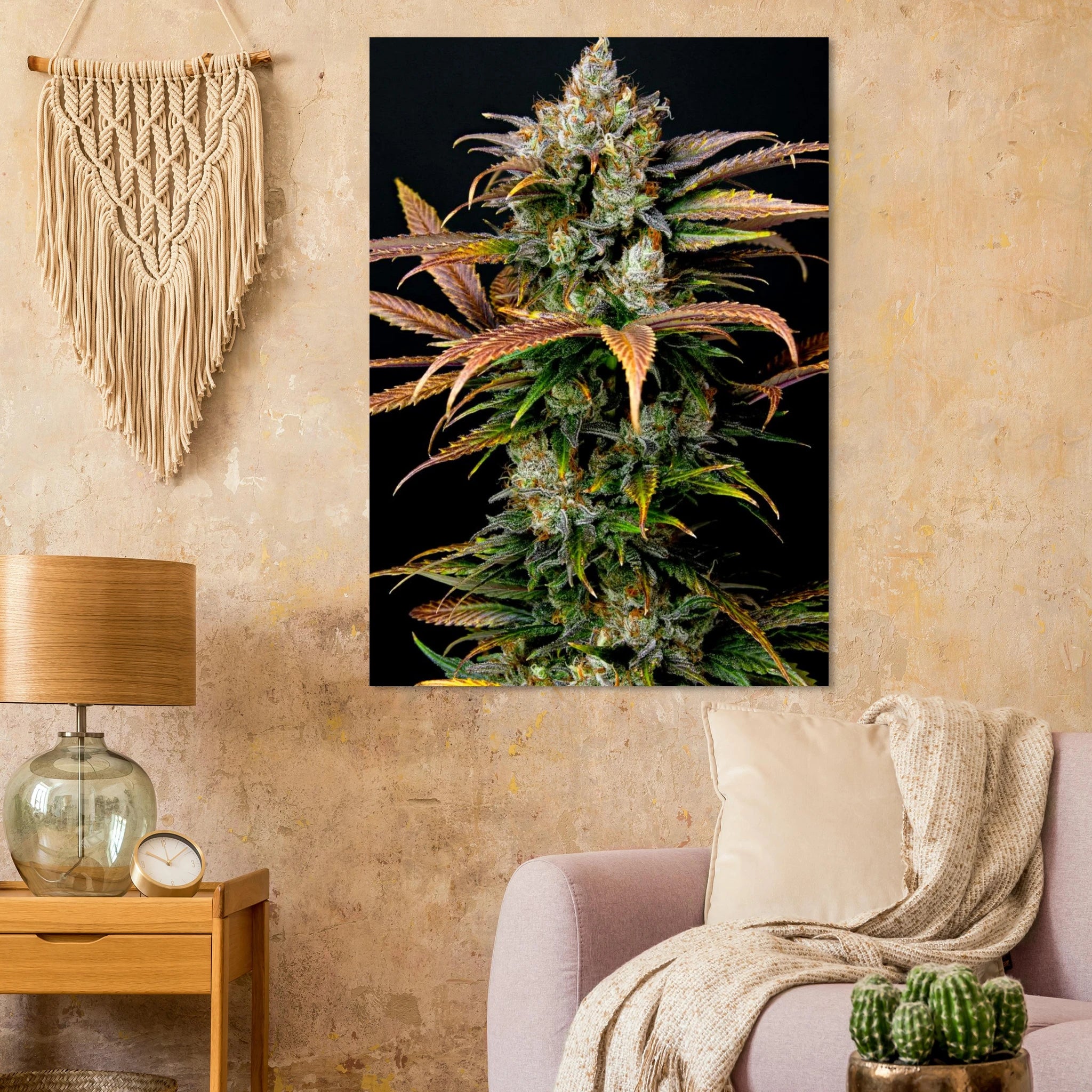 a70e1629-8672-4a85-89d4-4df16d682e9f