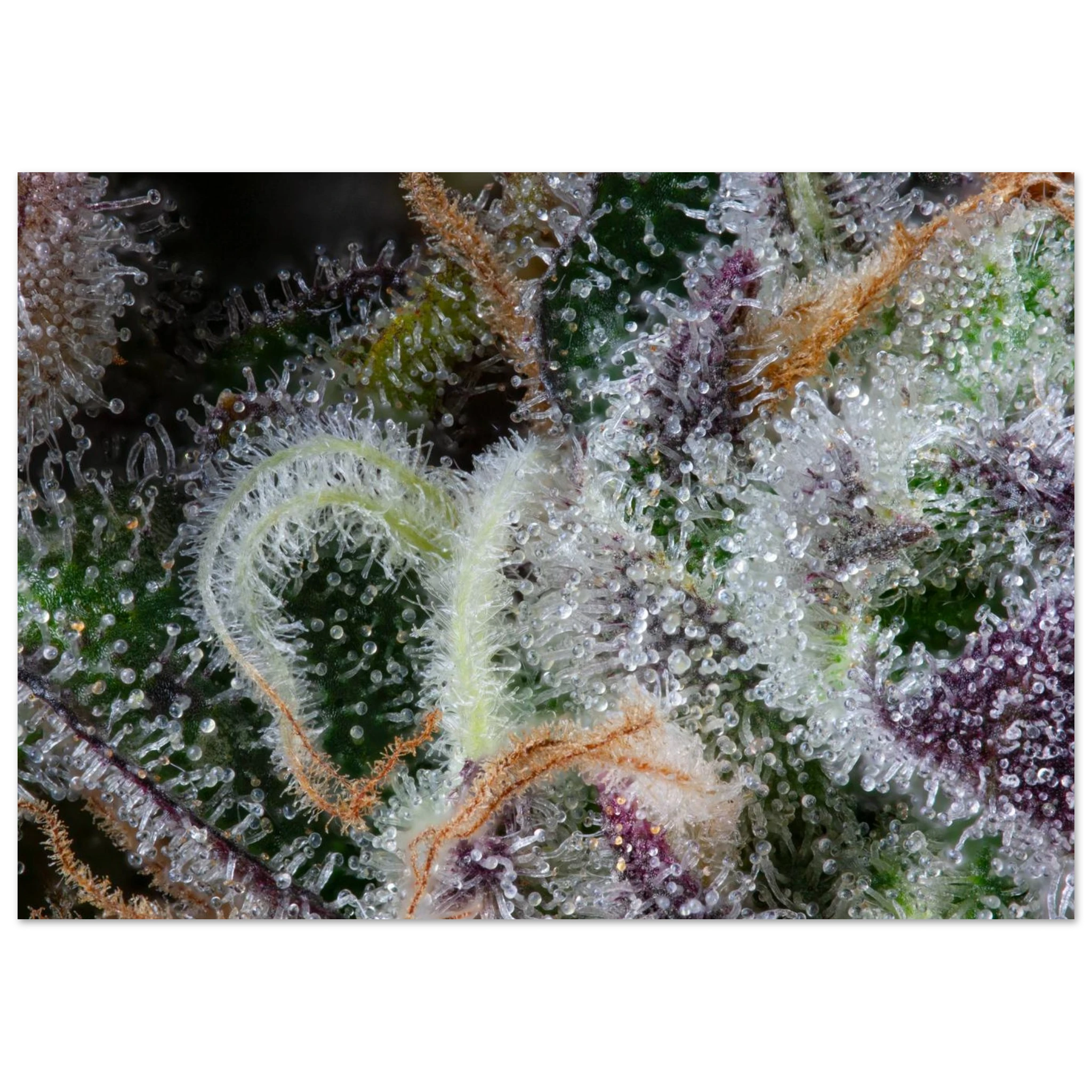 b0c23789-83e8-458f-8ac6-acd0b6015d2b