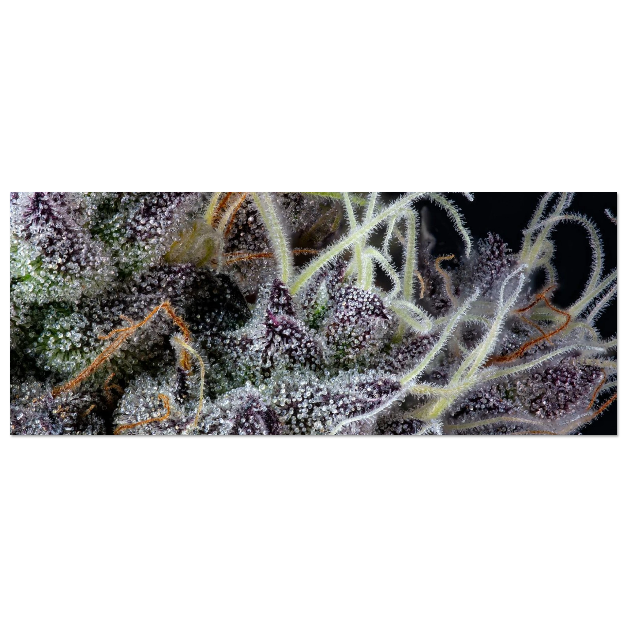 b19a9e41-b55a-4069-a530-38be790c92e3