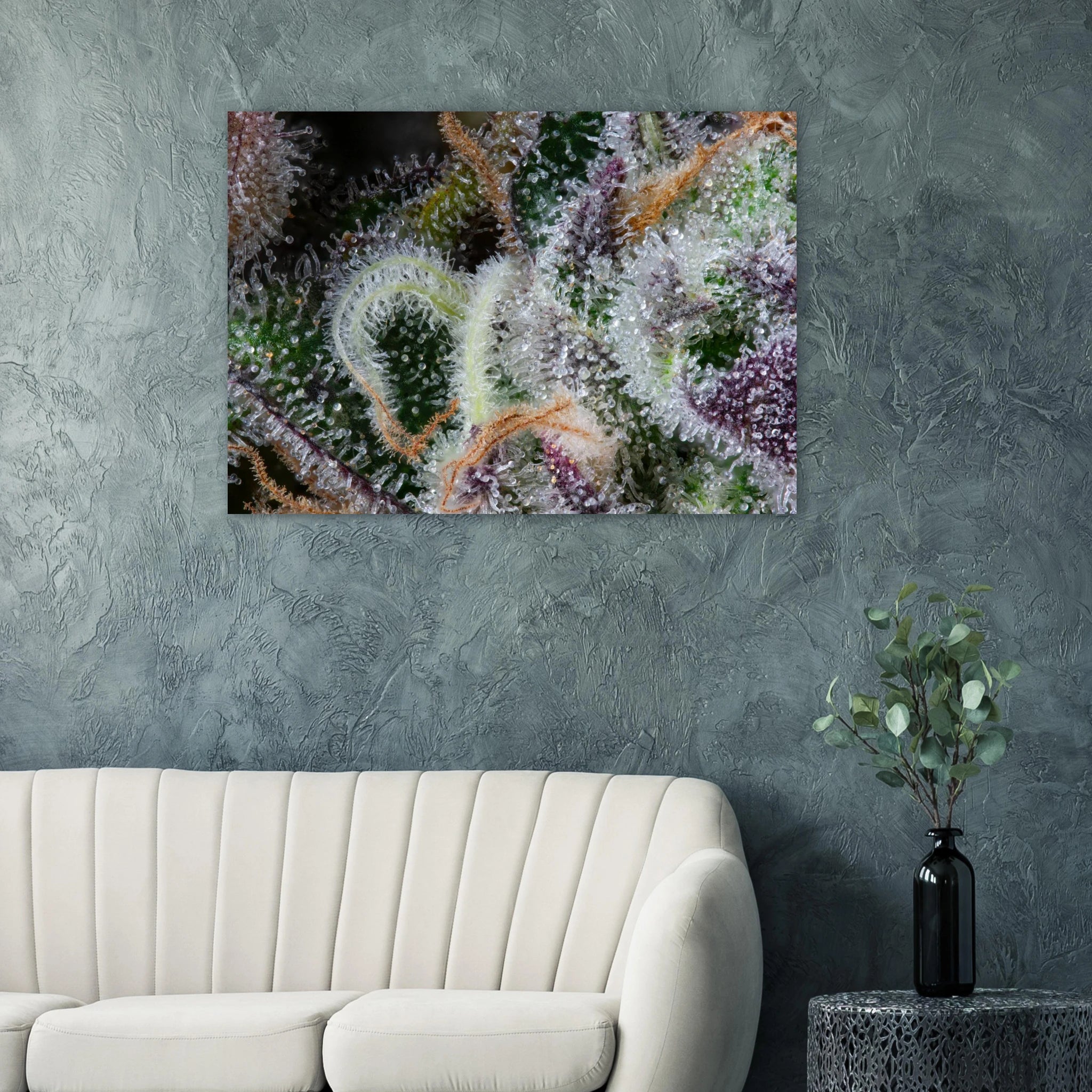 b2d2322d-ea5c-4c00-b425-a308bf1c591b