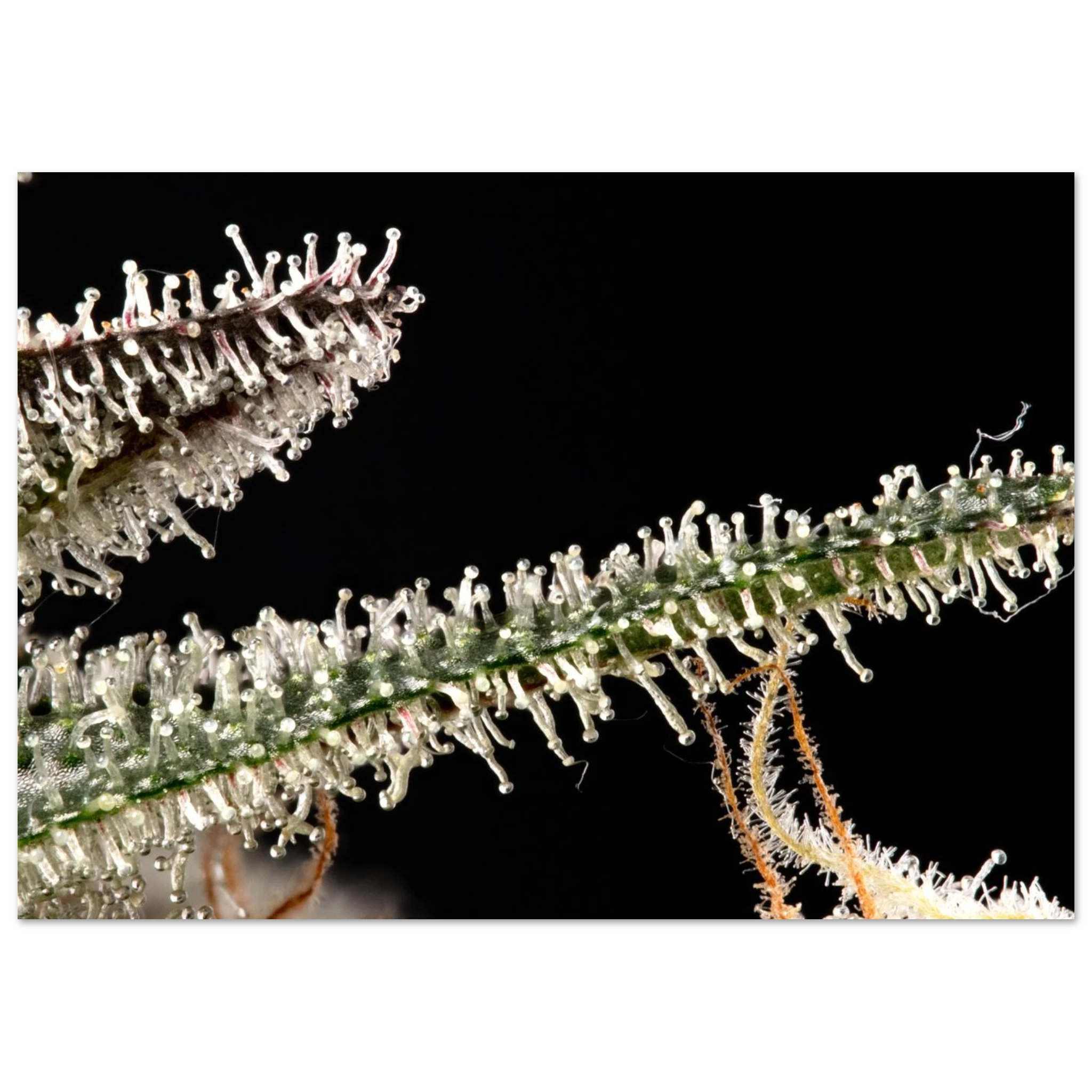 b72528de-6ed4-421b-9e05-01e15bc2adad