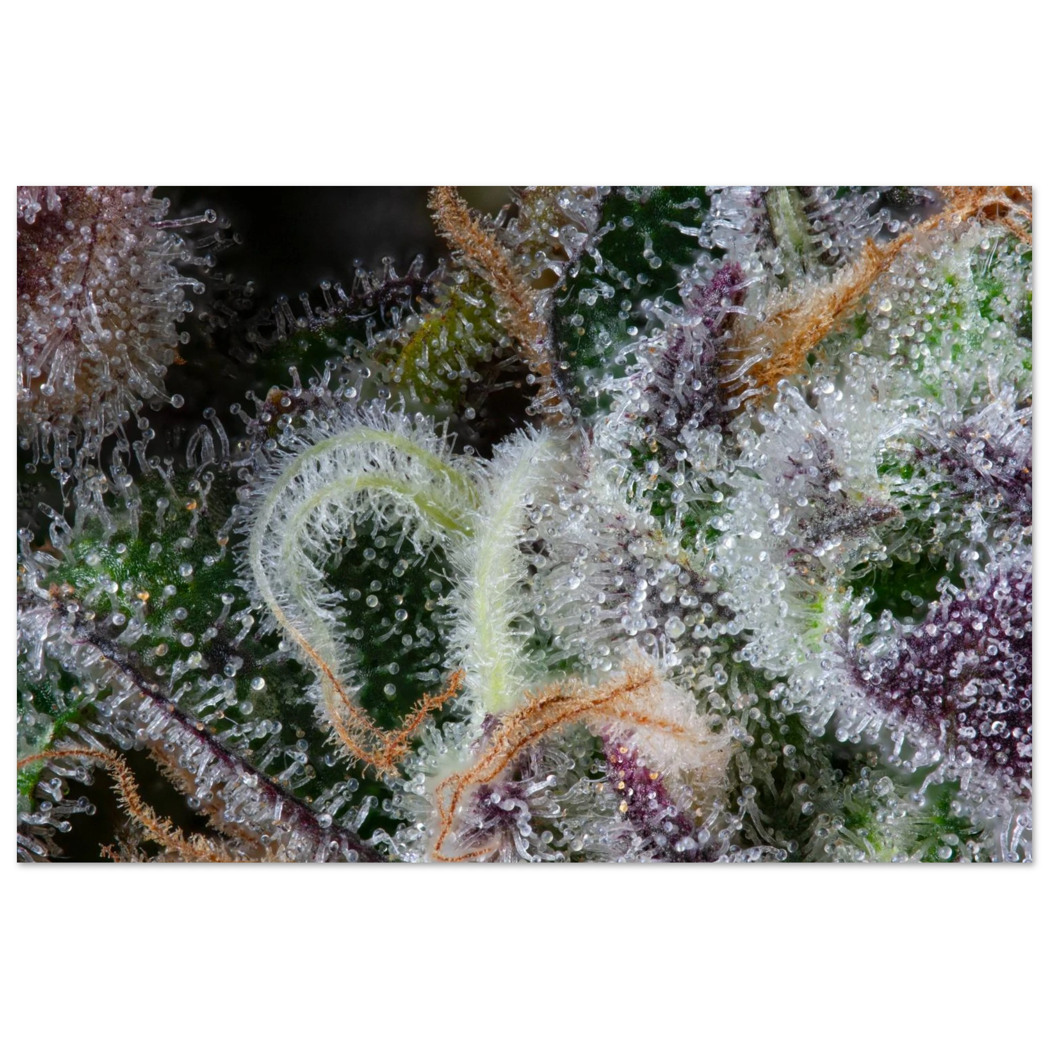 b9ddcdb4-0256-4f9d-bc84-299e44bdbaf8