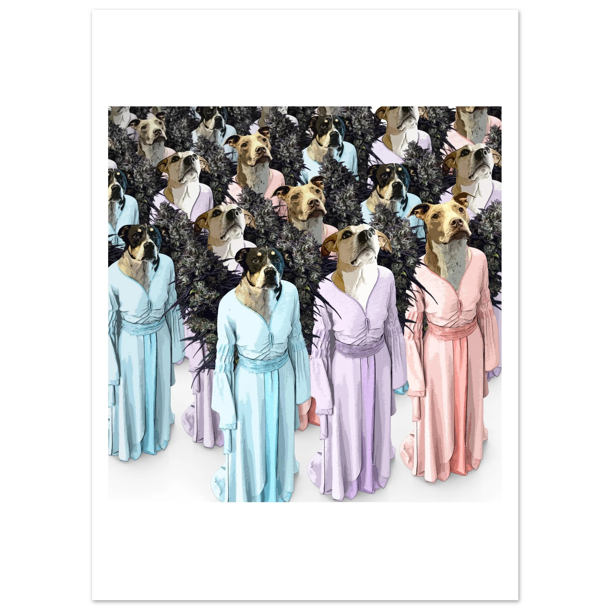 ba00aa44-6e9a-4f22-9deb-b7416e80410a