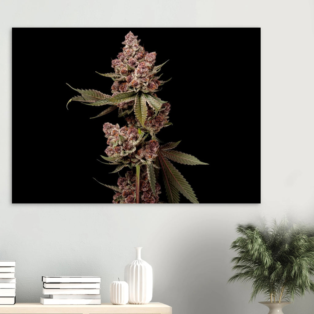 bbdb6b0d-7281-4123-ba8e-89ca9caad4b3