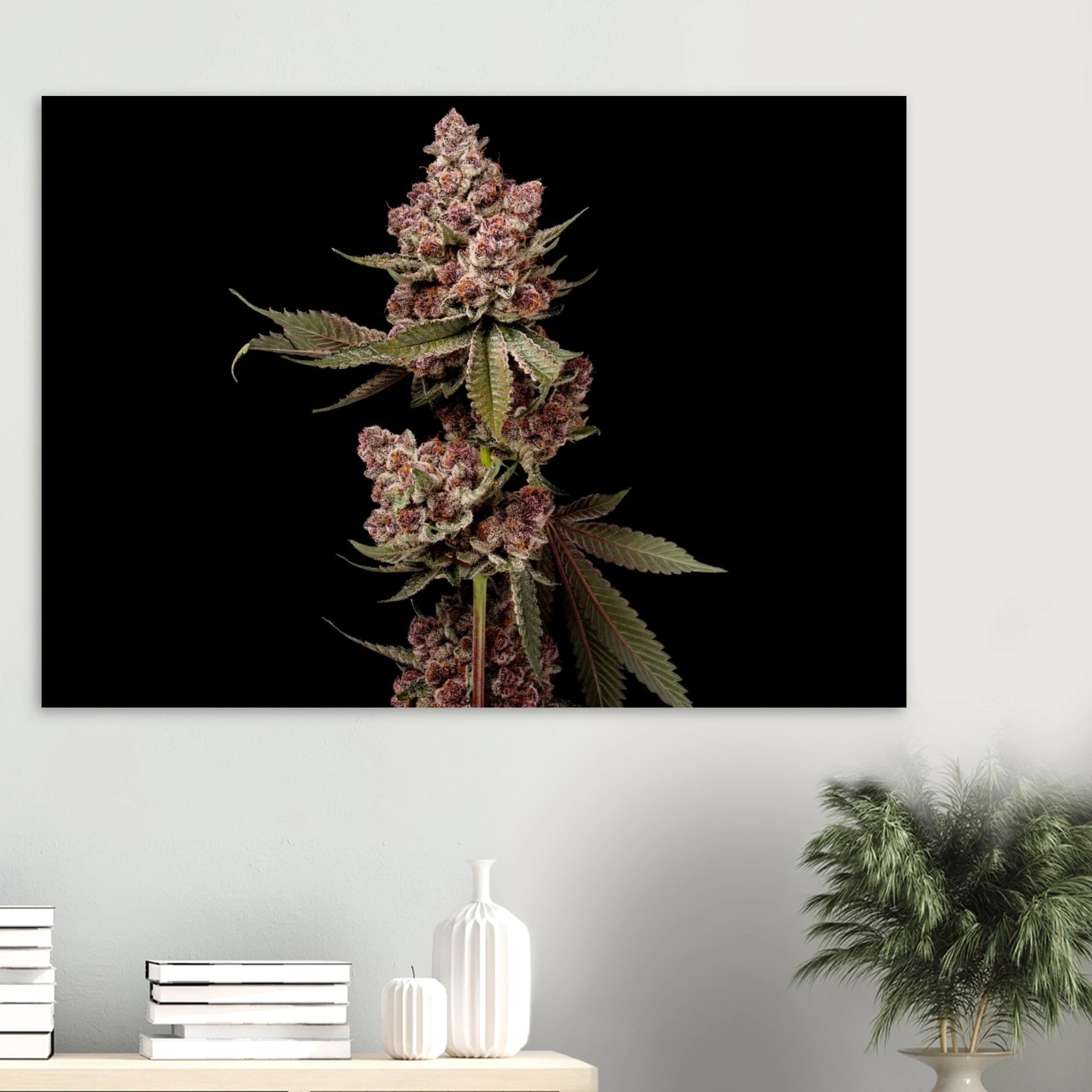 bbdb6b0d-7281-4123-ba8e-89ca9caad4b3