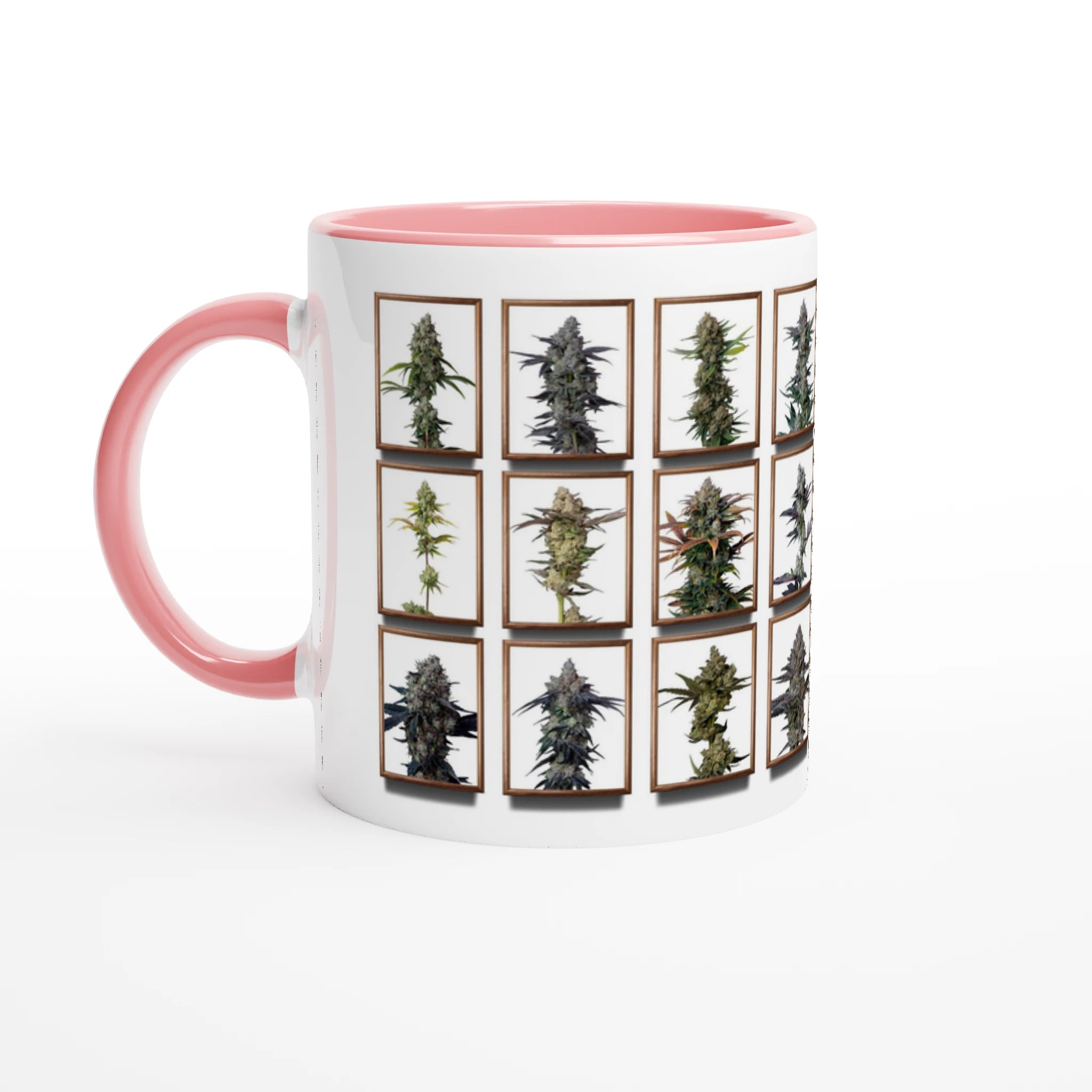 bc51da97-ebab-4dbc-8fbd-f13486d1d776