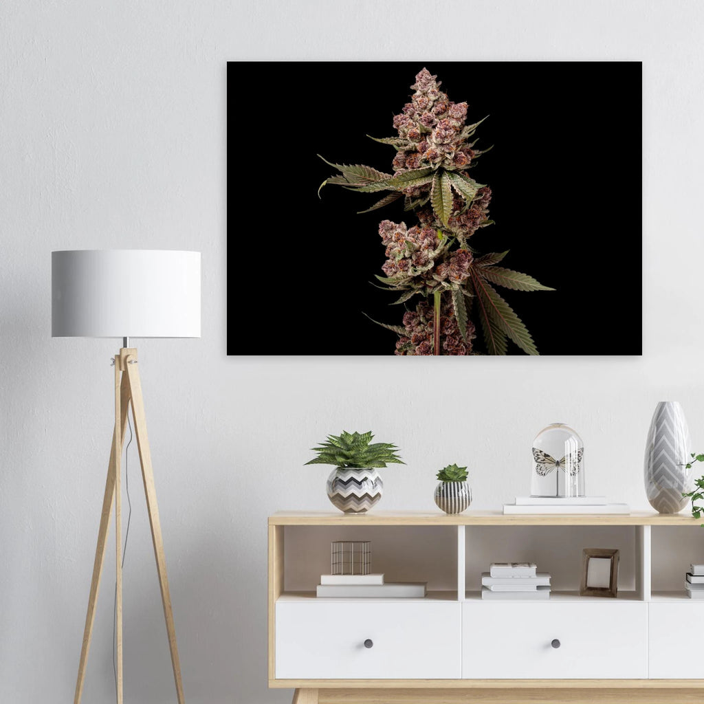 bfdaea97-4c4c-433c-8d0f-fe751e1c761e